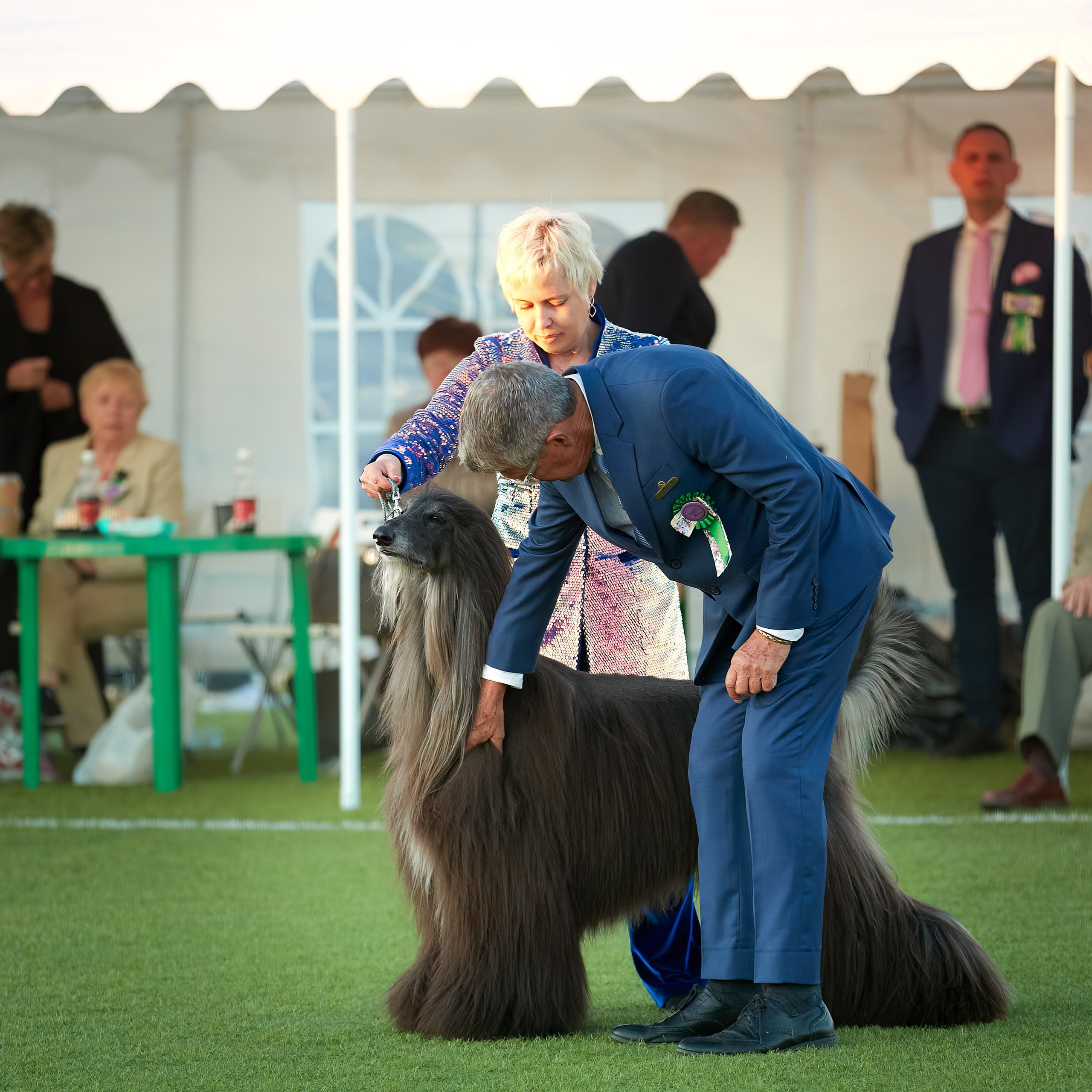 Отгремела «Суздаль-2024». ФОТОГРАФ-АНИМАЛИСТ l LANA POLYAKOVA