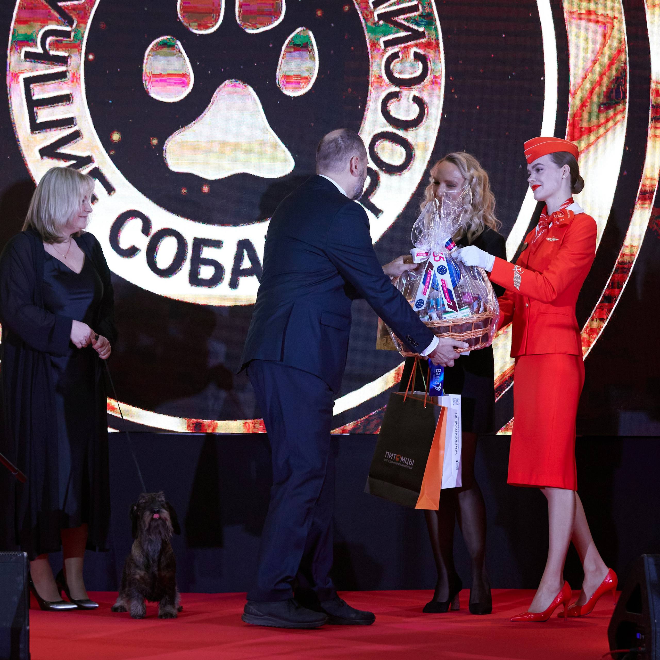 Репортаж с церемонии «BEST RUSSIAN DOG 2024». ФОТОГРАФ-АНИМАЛИСТ l LANA POLYAKOVA