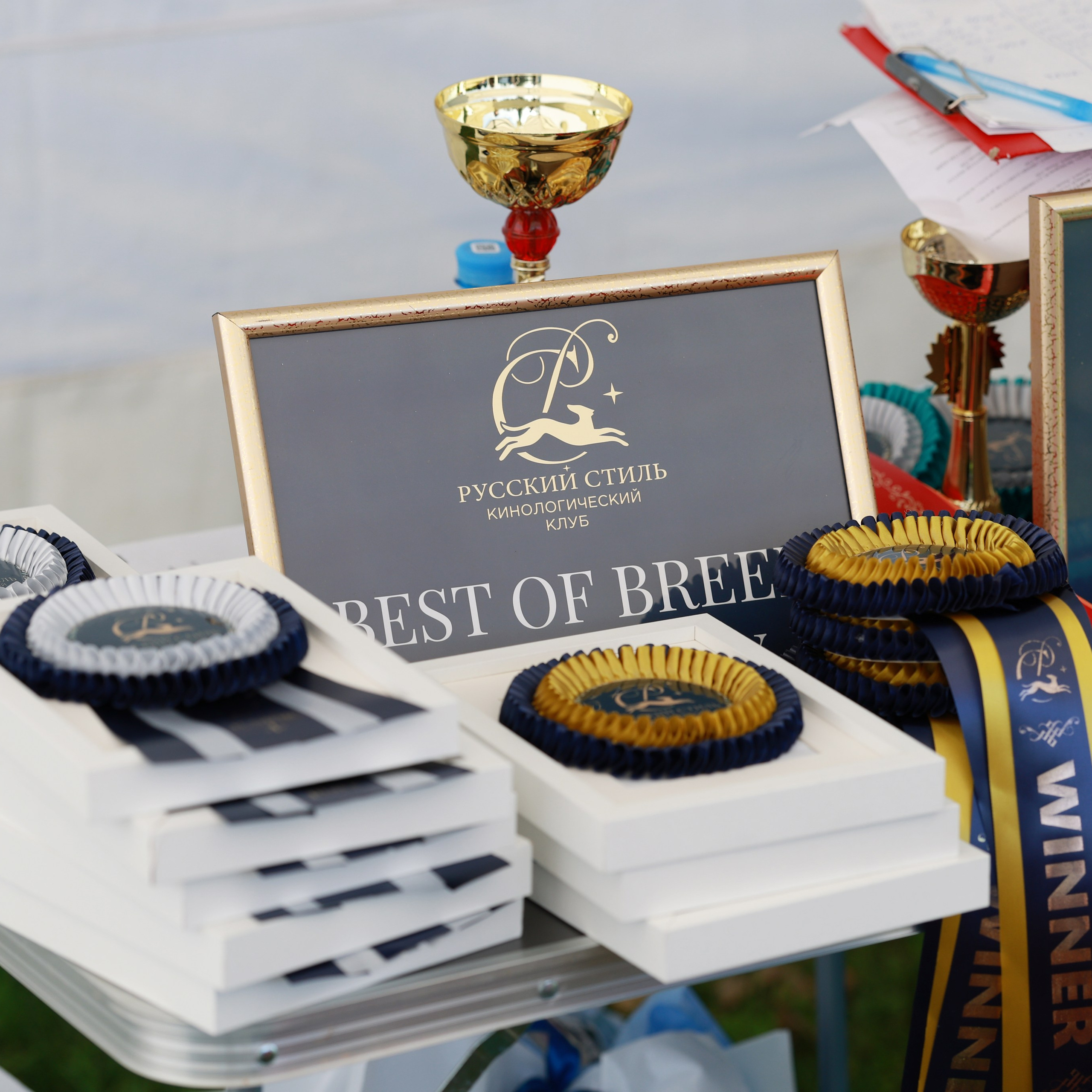 27-28.09.2025 ВЫСТАВКИ СОБАК ВСЕХ ПОРОД (САС, ЧРКФ, ЧФ). ФОТОГРАФ-АНИМАЛИСТ l LANA POLYAKOVA