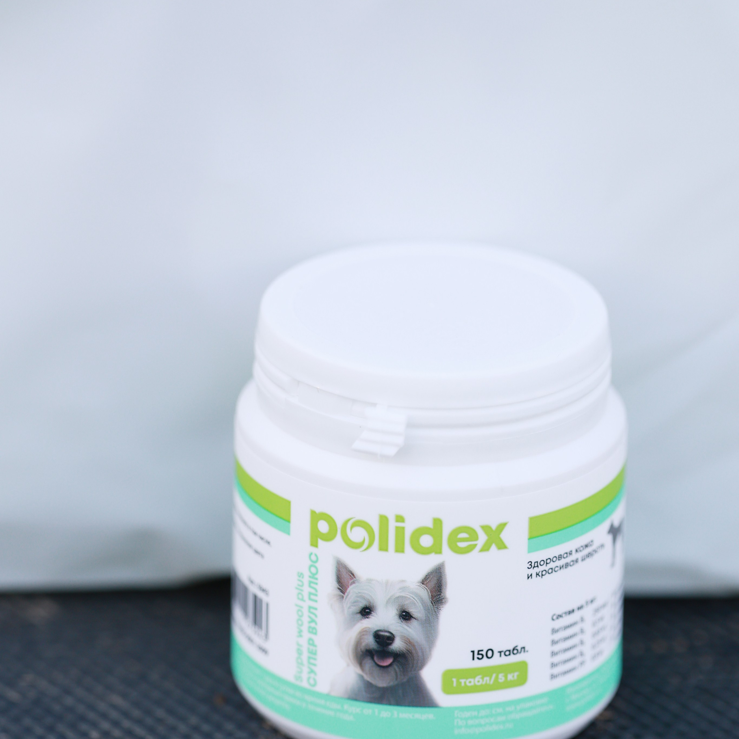 27-28.09.2025 ВЫСТАВКИ СОБАК ВСЕХ ПОРОД (САС, ЧРКФ, ЧФ). ФОТОГРАФ-АНИМАЛИСТ l LANA POLYAKOVA