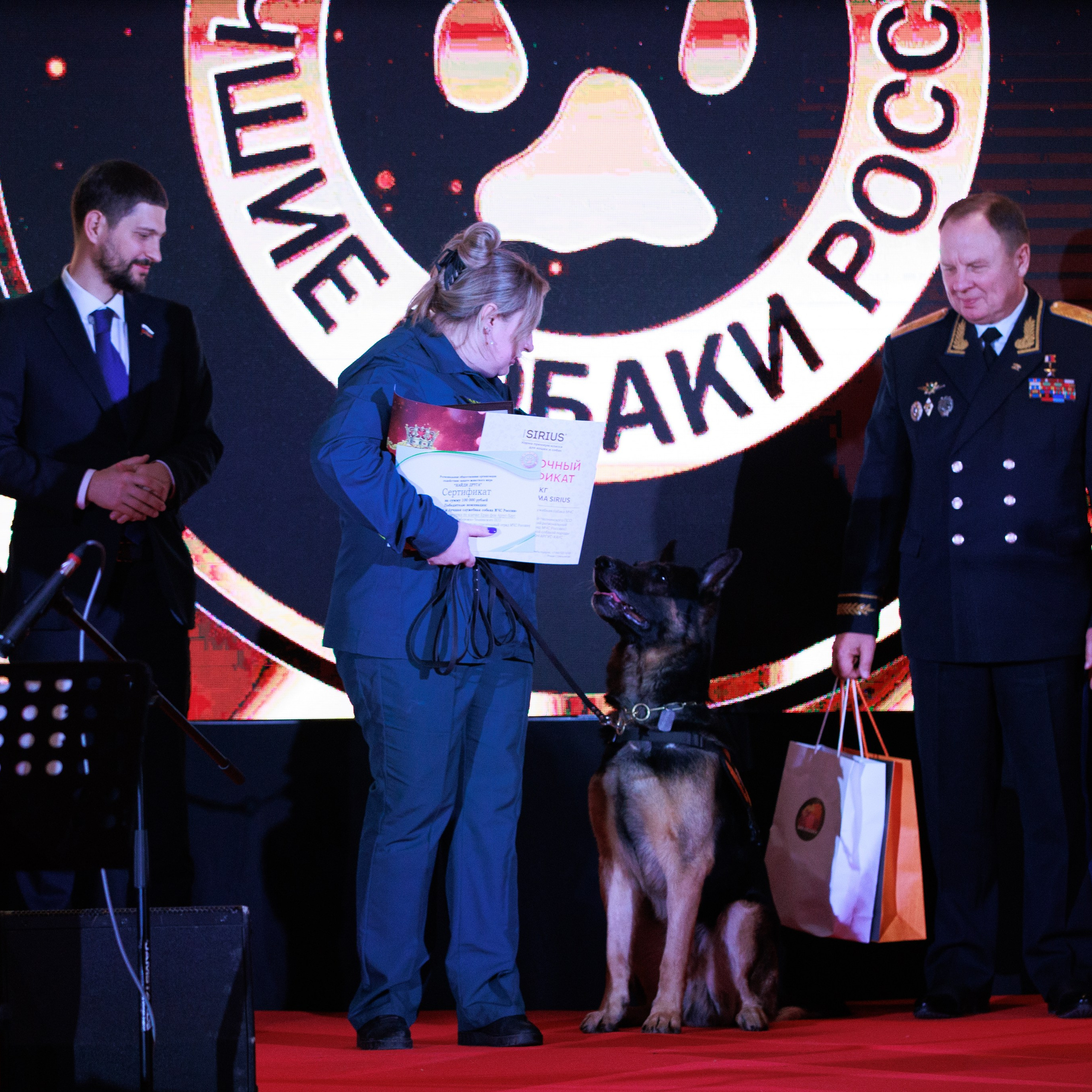 Репортаж с церемонии «BEST RUSSIAN DOG 2024». ФОТОГРАФ-АНИМАЛИСТ l LANA POLYAKOVA