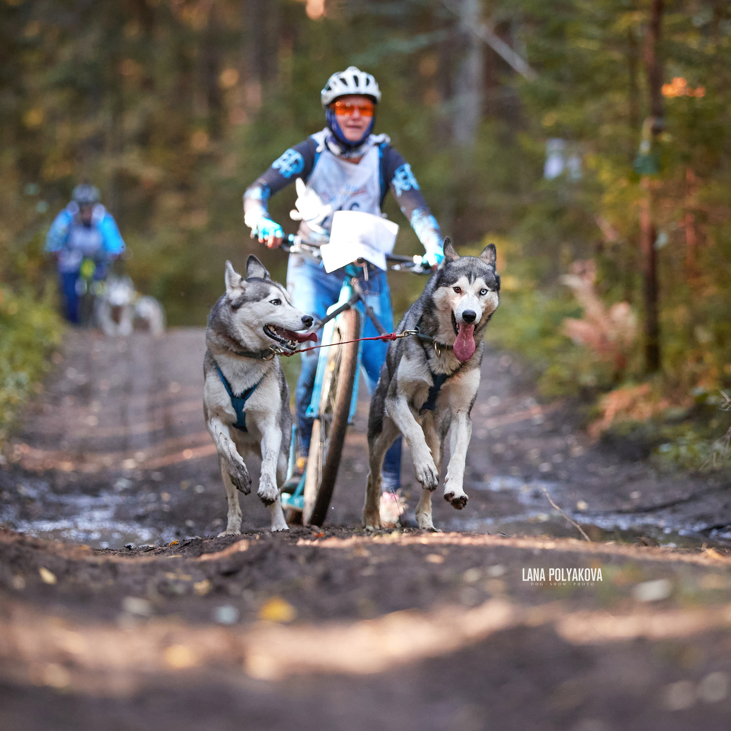 Чемпионат РКФ FCISDR 24-25.09.22. ФОТОГРАФ-АНИМАЛИСТ l LANA POLYAKOVA