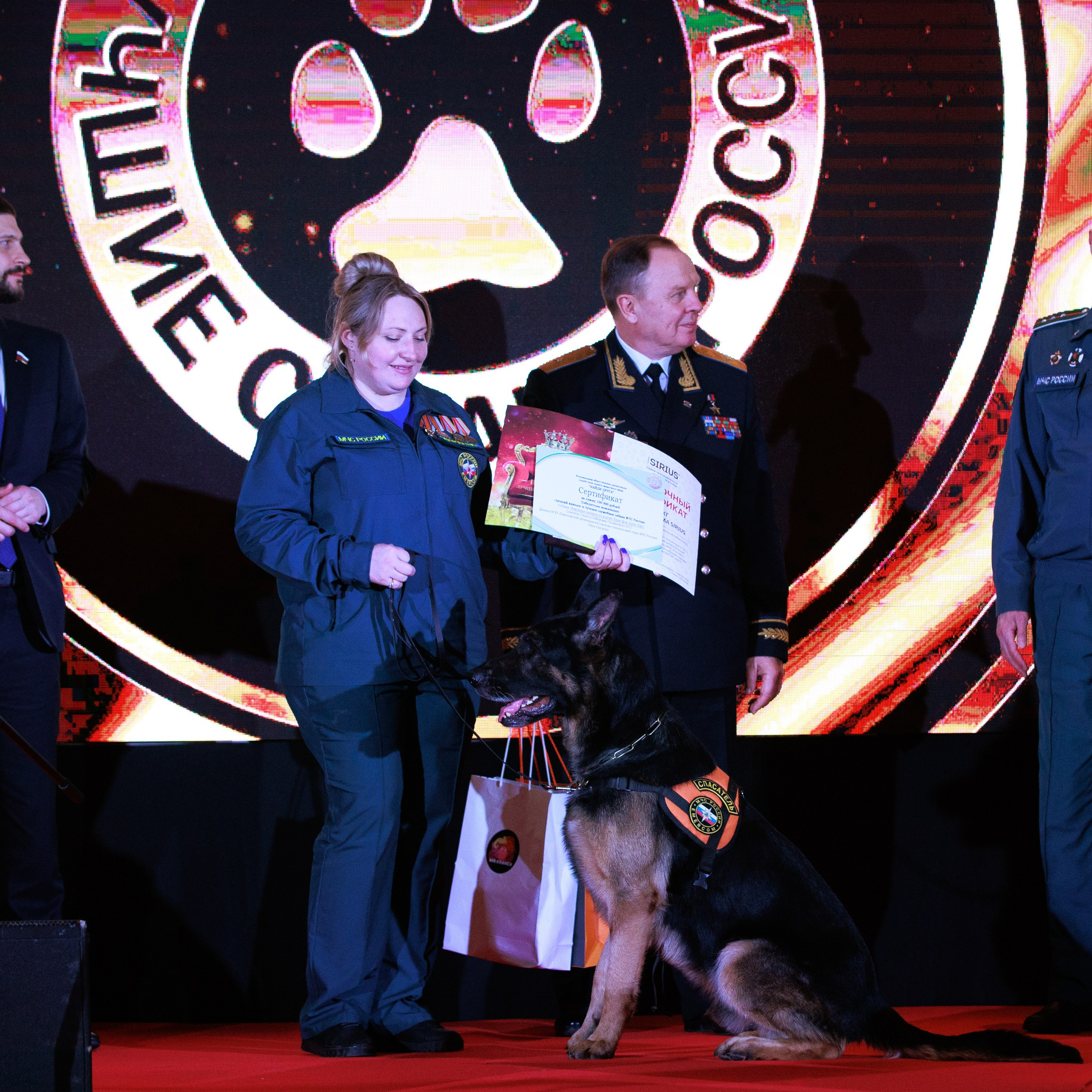 Репортаж с церемонии «BEST RUSSIAN DOG 2024». ФОТОГРАФ-АНИМАЛИСТ l LANA POLYAKOVA