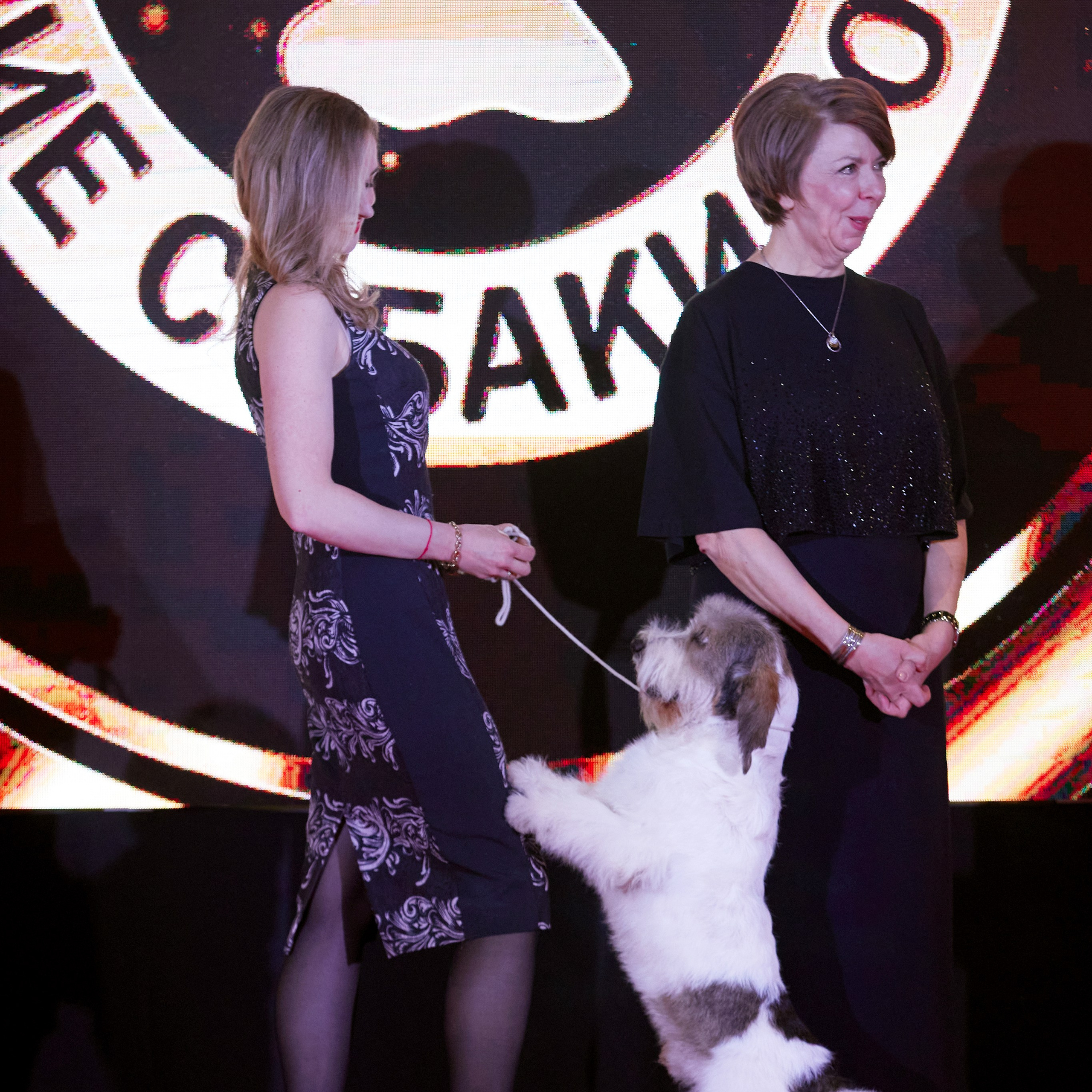 Репортаж с церемонии «BEST RUSSIAN DOG 2024». ФОТОГРАФ-АНИМАЛИСТ l LANA POLYAKOVA