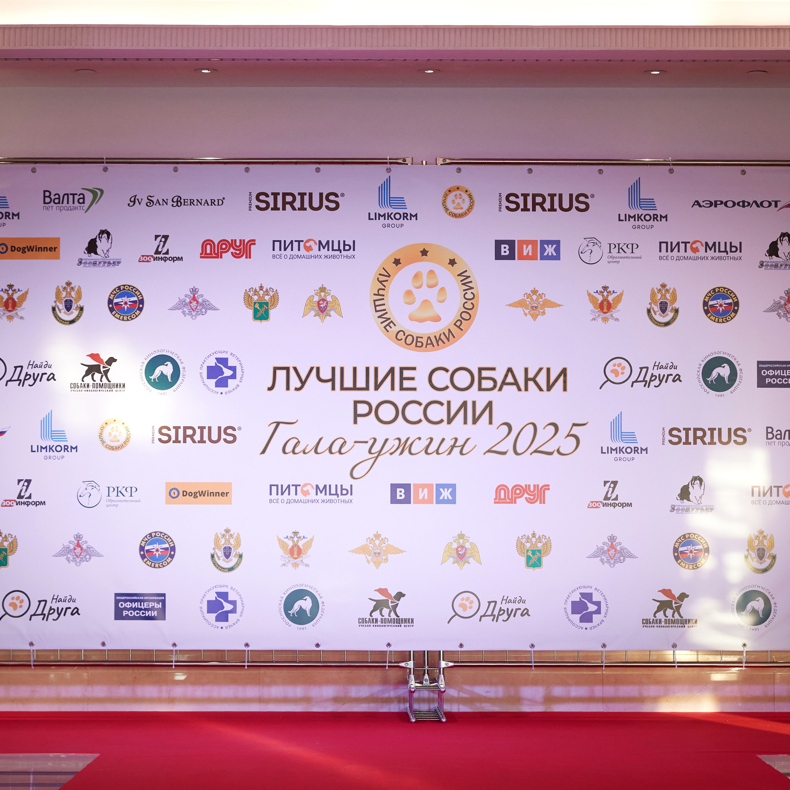 Репортаж с церемонии «BEST RUSSIAN DOG 2024». ФОТОГРАФ-АНИМАЛИСТ l LANA POLYAKOVA