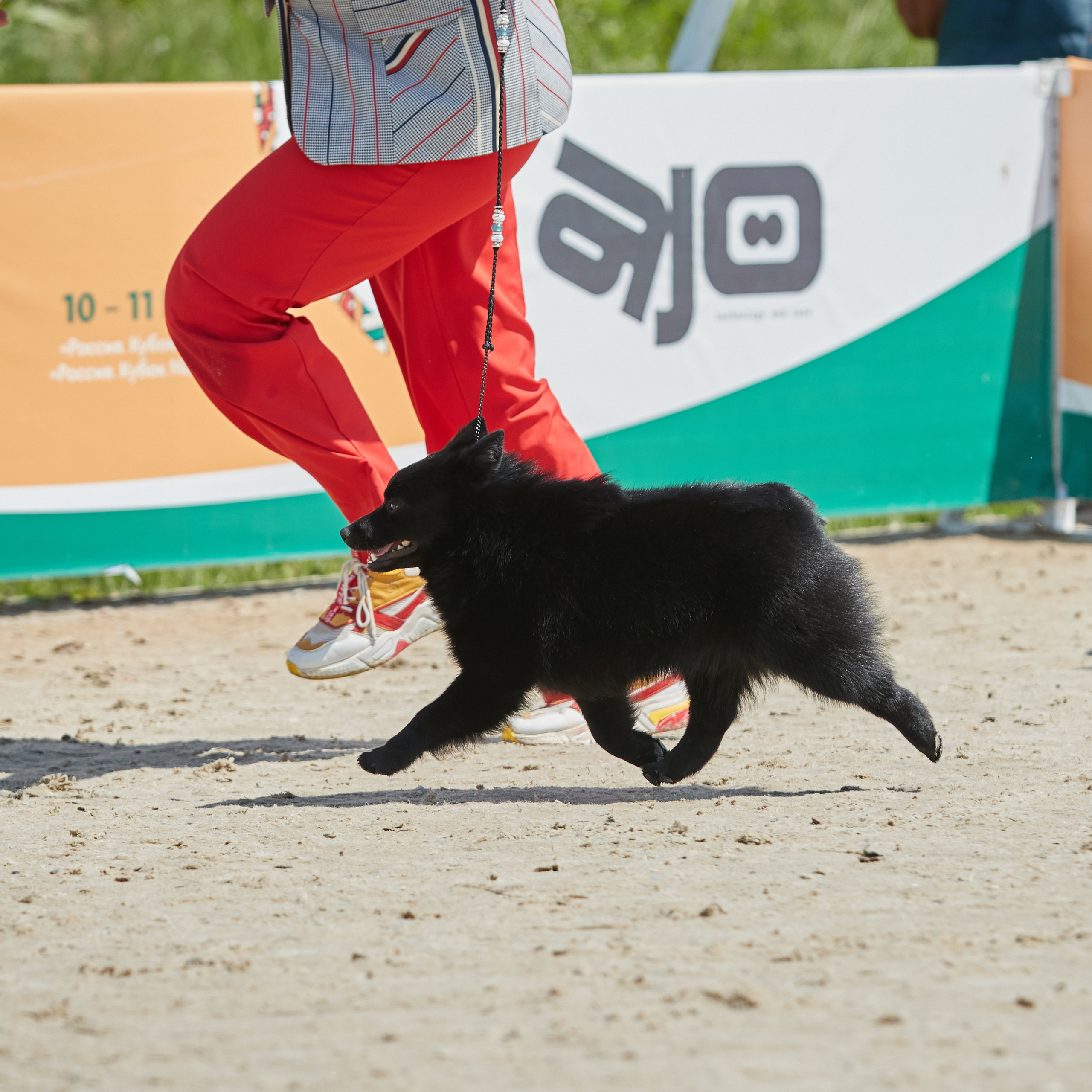 «РОССИЯ» прошла в «Максима Парк». ФОТОГРАФ-АНИМАЛИСТ l LANA POLYAKOVA