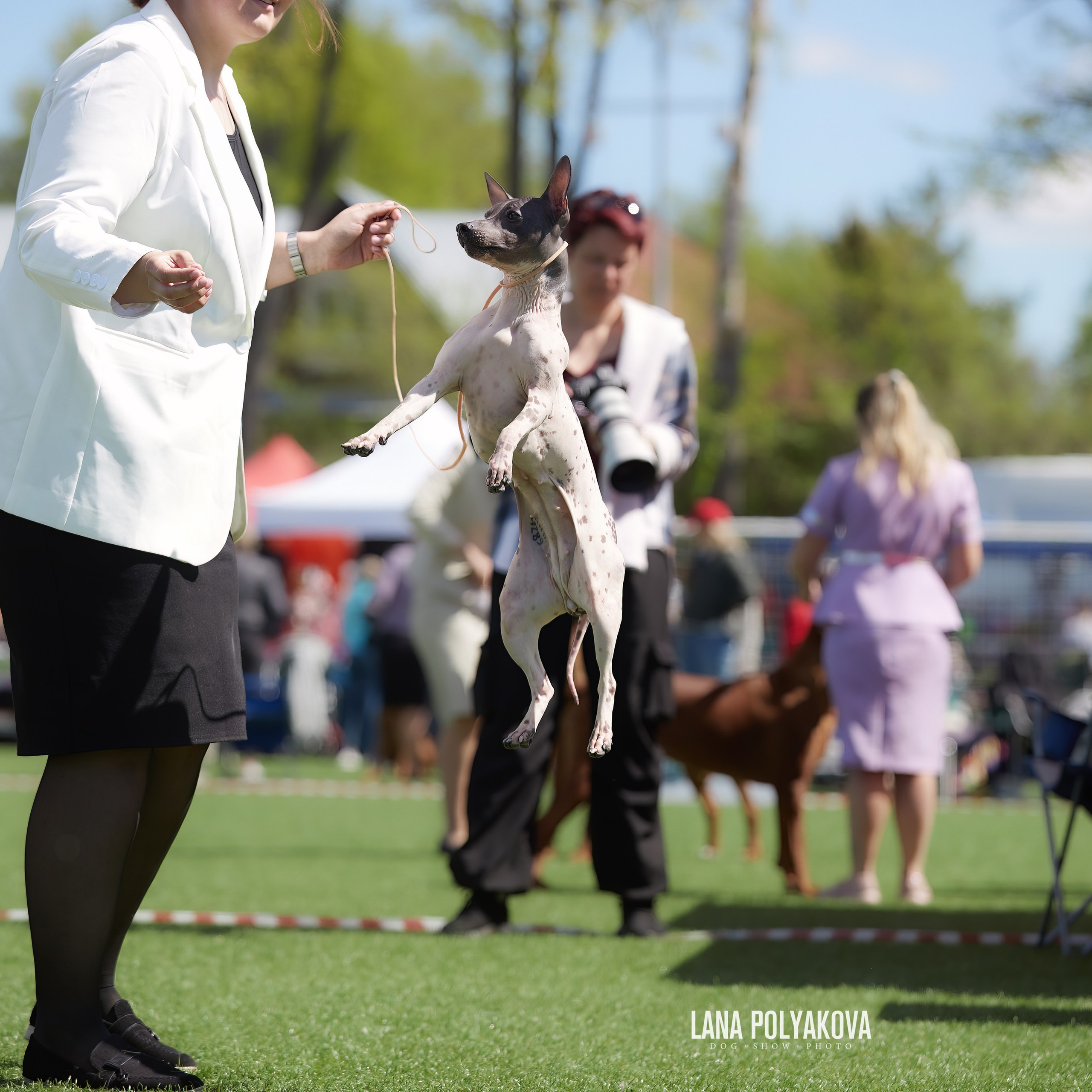 Отгремела «Суздаль-2024». ФОТОГРАФ-АНИМАЛИСТ l LANA POLYAKOVA
