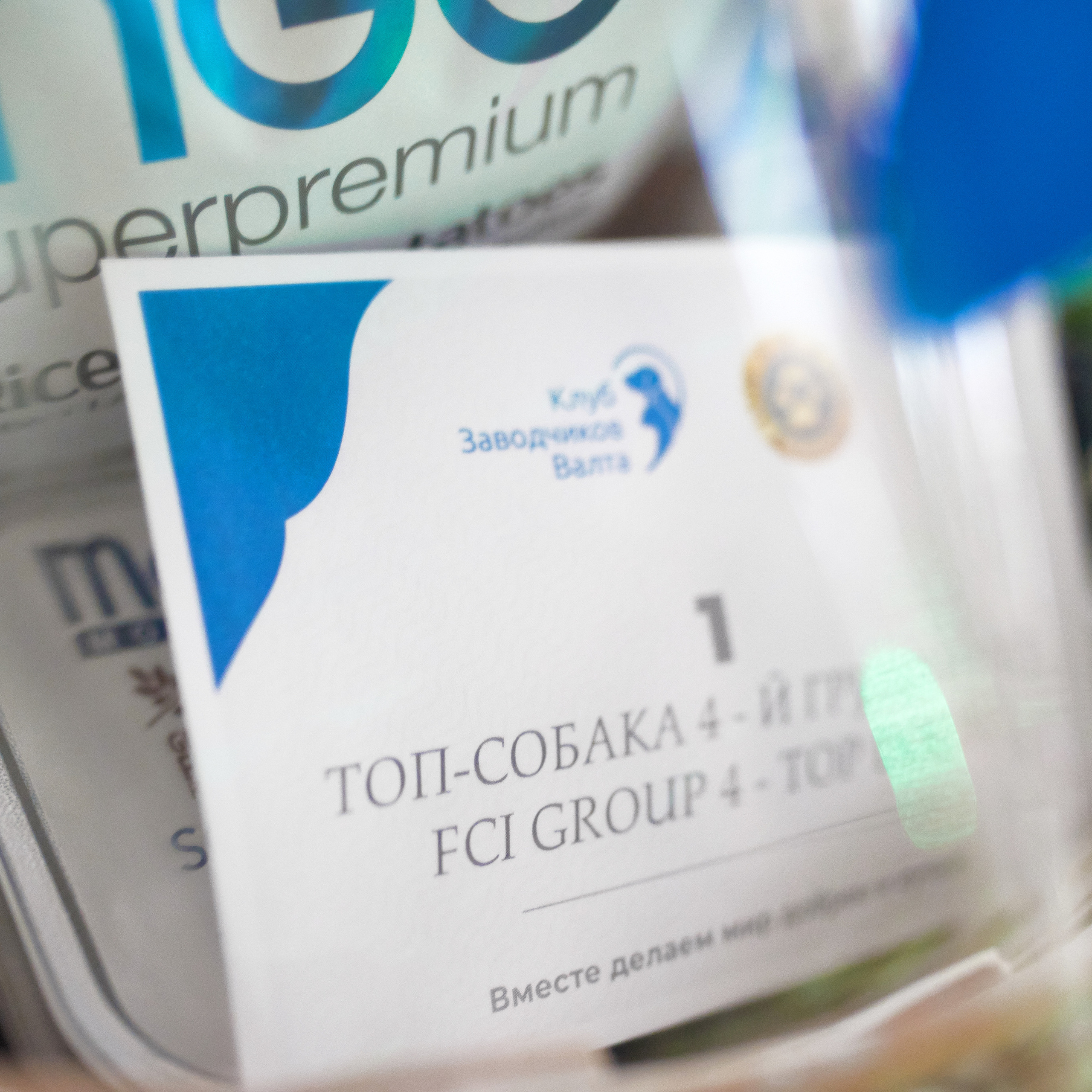 Репортаж с церемонии «BEST RUSSIAN DOG 2021». ФОТОГРАФ-АНИМАЛИСТ l LANA POLYAKOVA