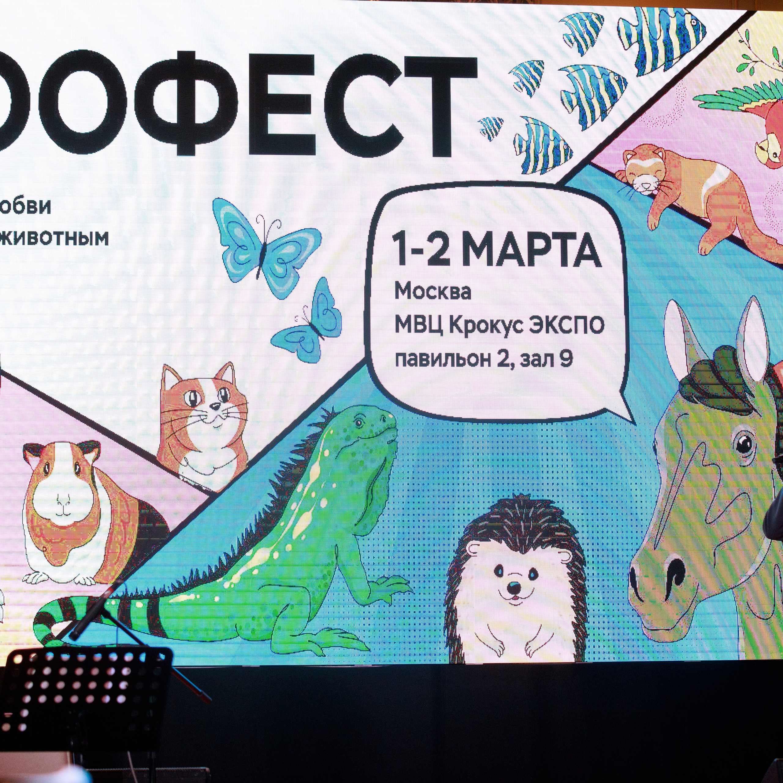 Репортаж с церемонии «BEST RUSSIAN DOG 2024». ФОТОГРАФ-АНИМАЛИСТ l LANA POLYAKOVA