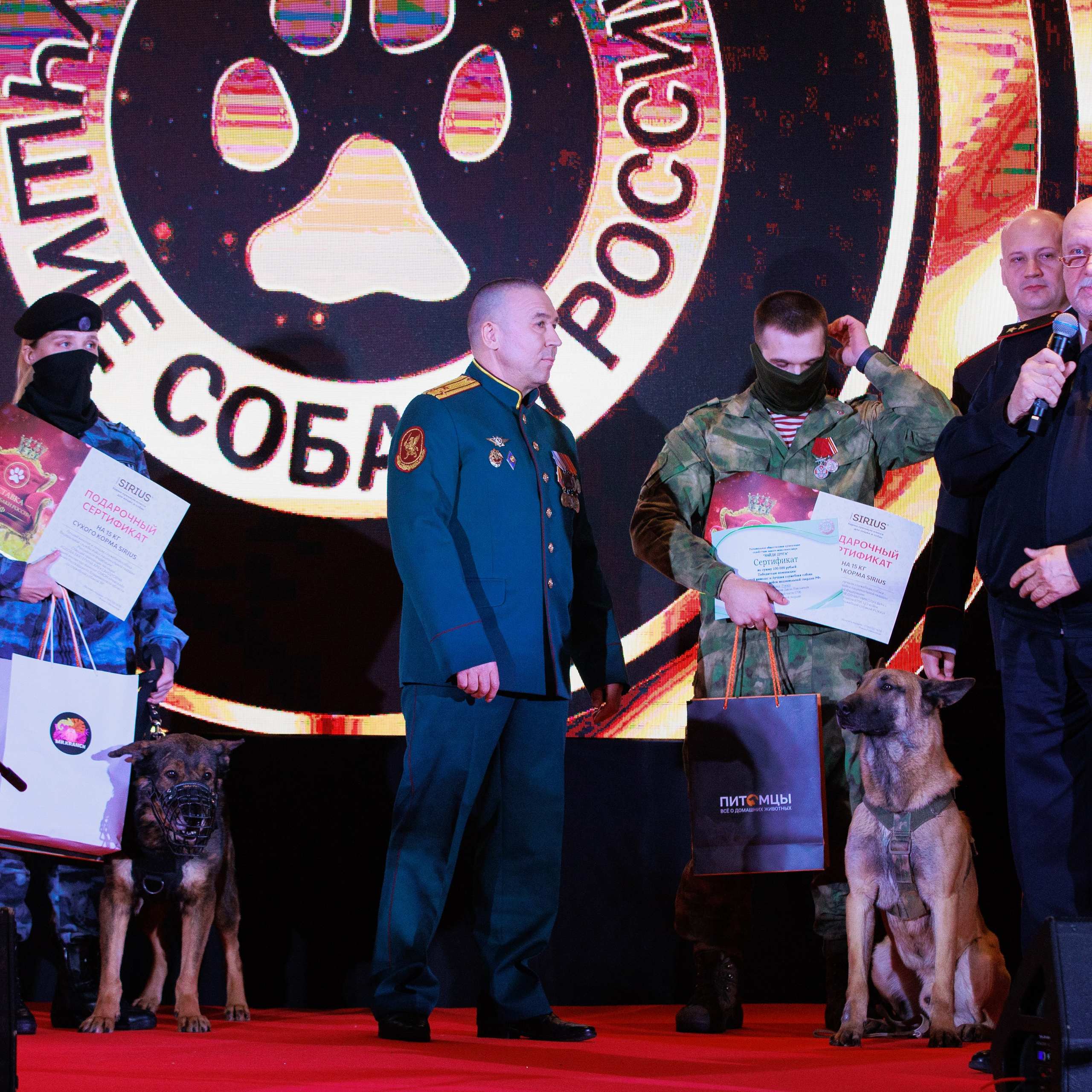 Репортаж с церемонии «BEST RUSSIAN DOG 2024». ФОТОГРАФ-АНИМАЛИСТ l LANA POLYAKOVA