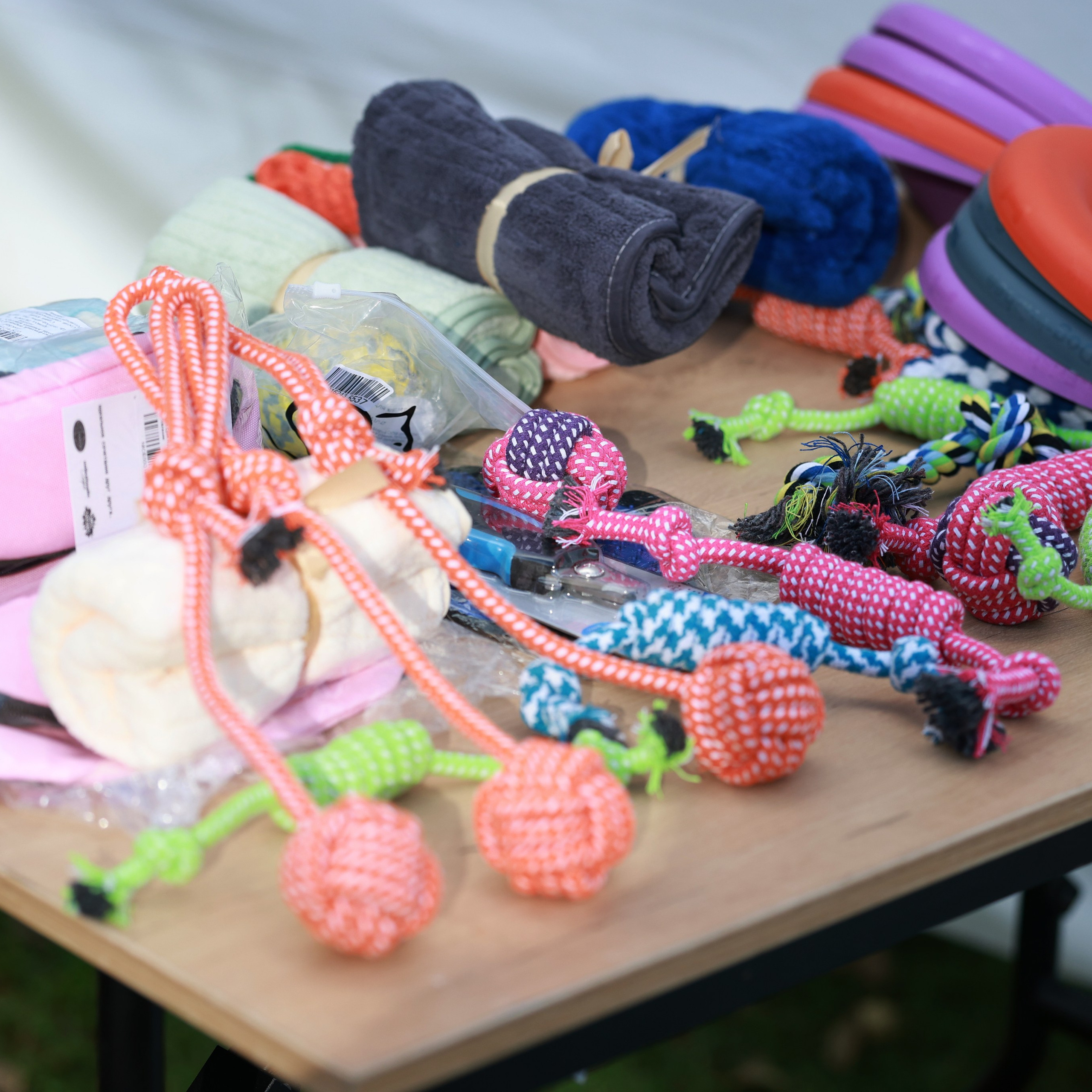 27-28.09.2025 ВЫСТАВКИ СОБАК ВСЕХ ПОРОД (САС, ЧРКФ, ЧФ). ФОТОГРАФ-АНИМАЛИСТ l LANA POLYAKOVA