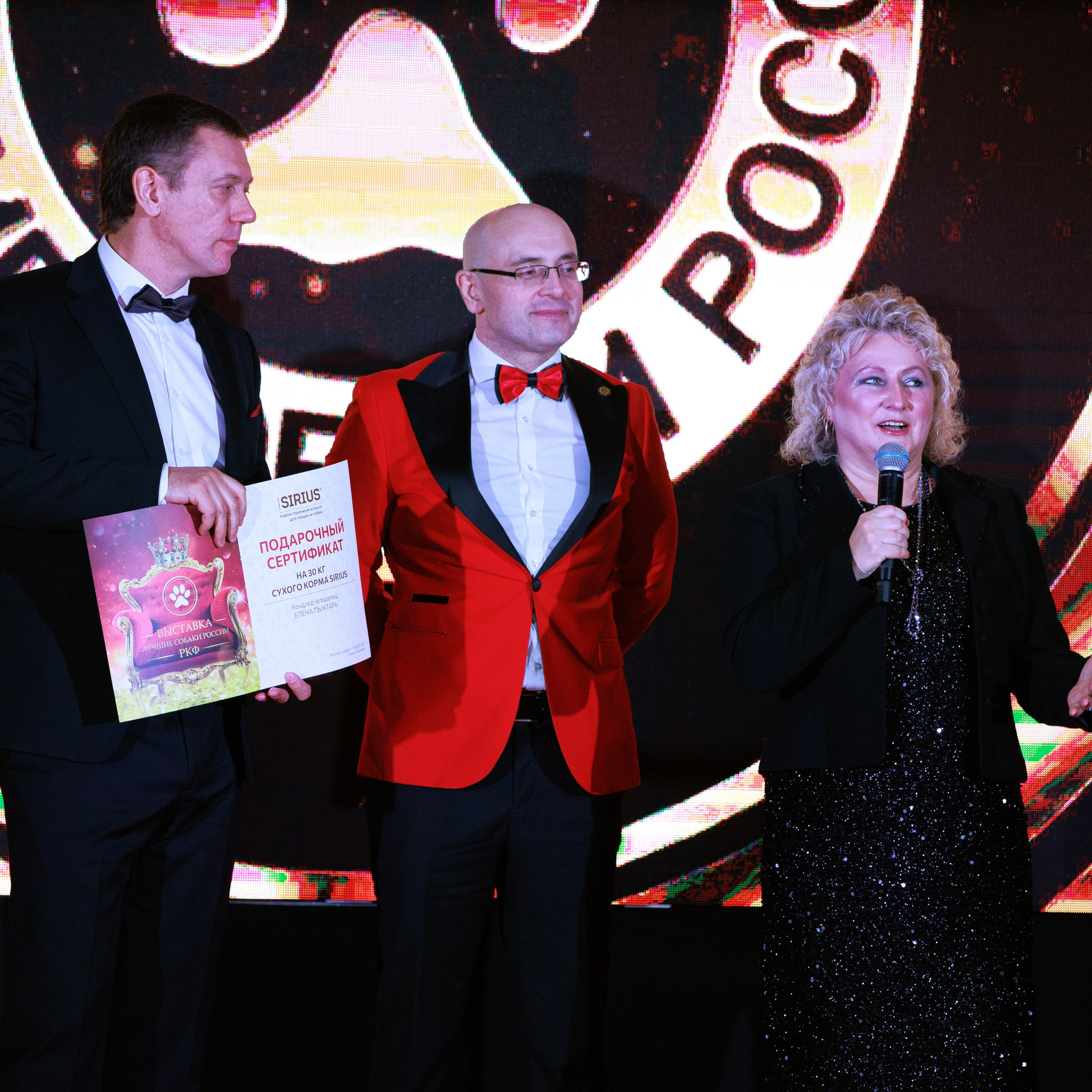 Репортаж с церемонии «BEST RUSSIAN DOG 2024». ФОТОГРАФ-АНИМАЛИСТ l LANA POLYAKOVA