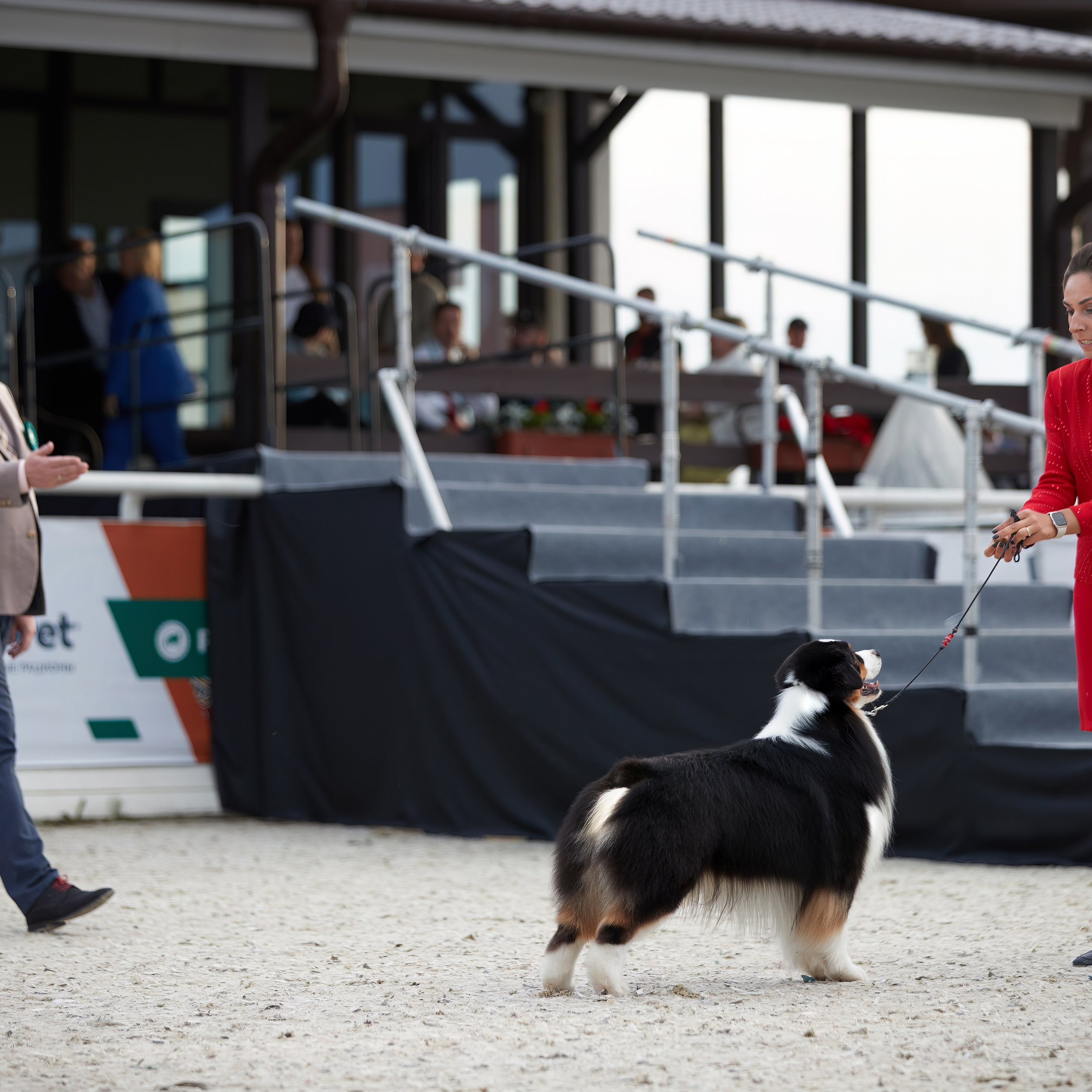 «Россия. Кубок РКФ 2024» и «Россия. Кубок Москвы 2024». ФОТОГРАФ-АНИМАЛИСТ l LANA POLYAKOVA