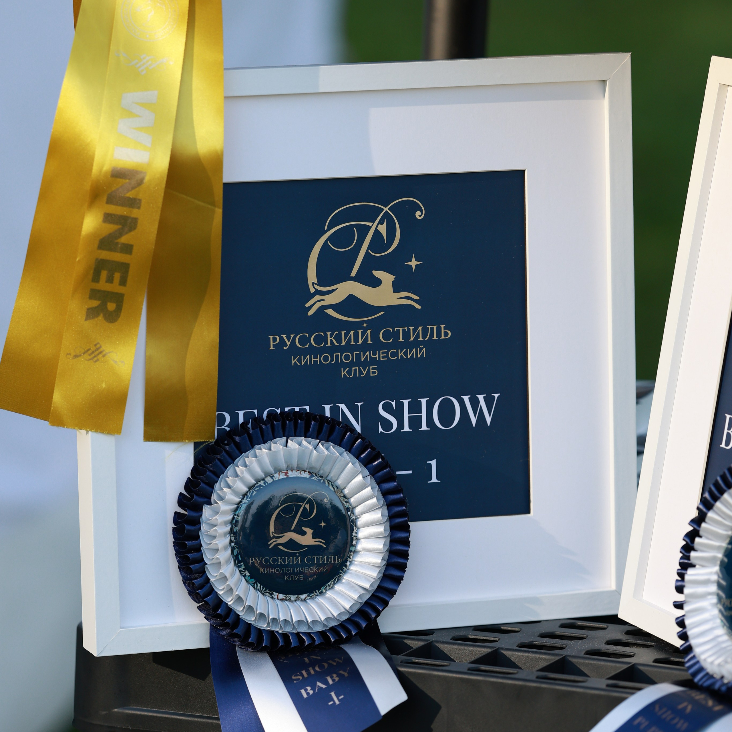 27-28.09.2025 ВЫСТАВКИ СОБАК ВСЕХ ПОРОД (САС, ЧРКФ, ЧФ). ФОТОГРАФ-АНИМАЛИСТ l LANA POLYAKOVA