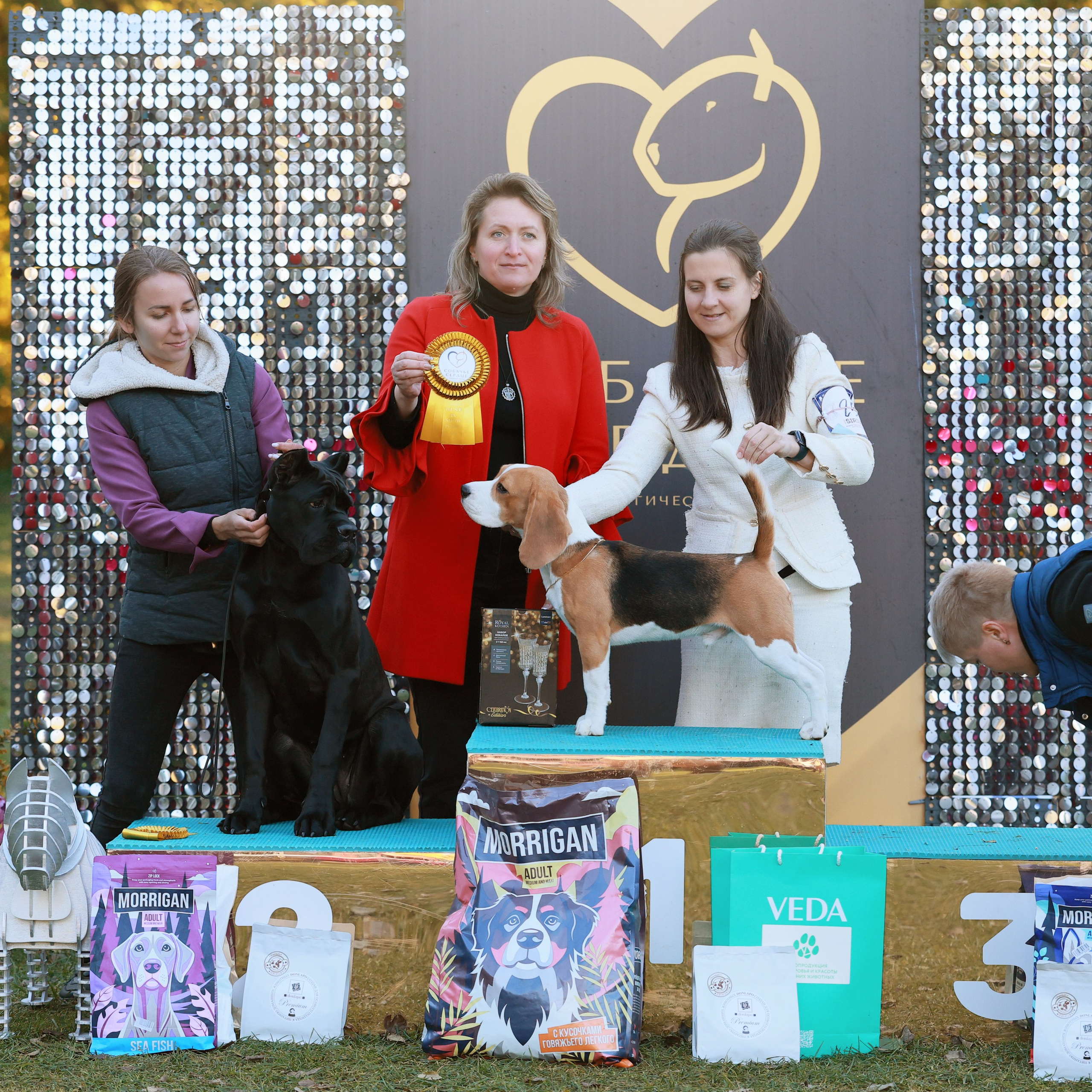 27-28.09.2025 ВЫСТАВКИ СОБАК ВСЕХ ПОРОД (САС, ЧРКФ, ЧФ). ФОТОГРАФ-АНИМАЛИСТ l LANA POLYAKOVA