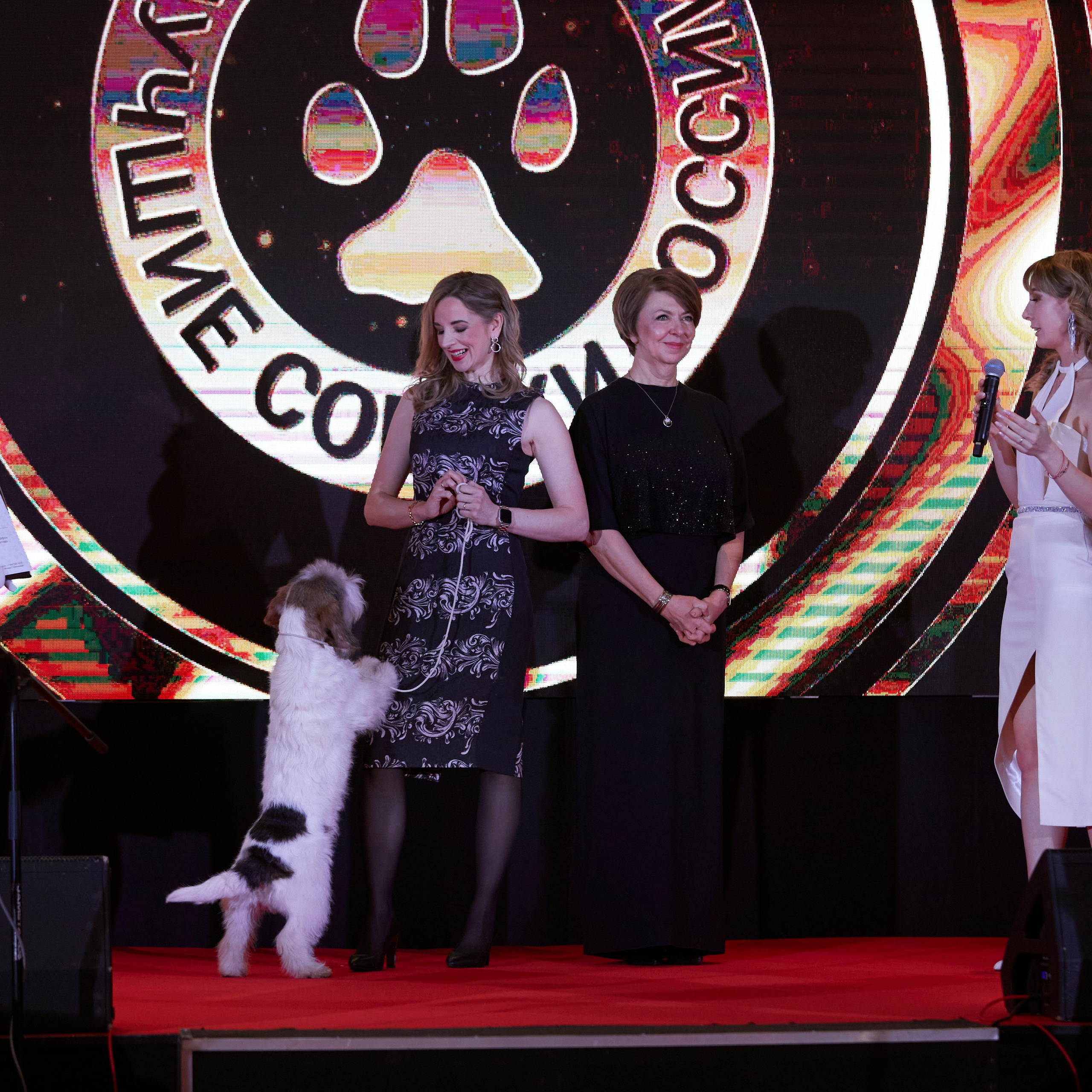 Репортаж с церемонии «BEST RUSSIAN DOG 2024». ФОТОГРАФ-АНИМАЛИСТ l LANA POLYAKOVA