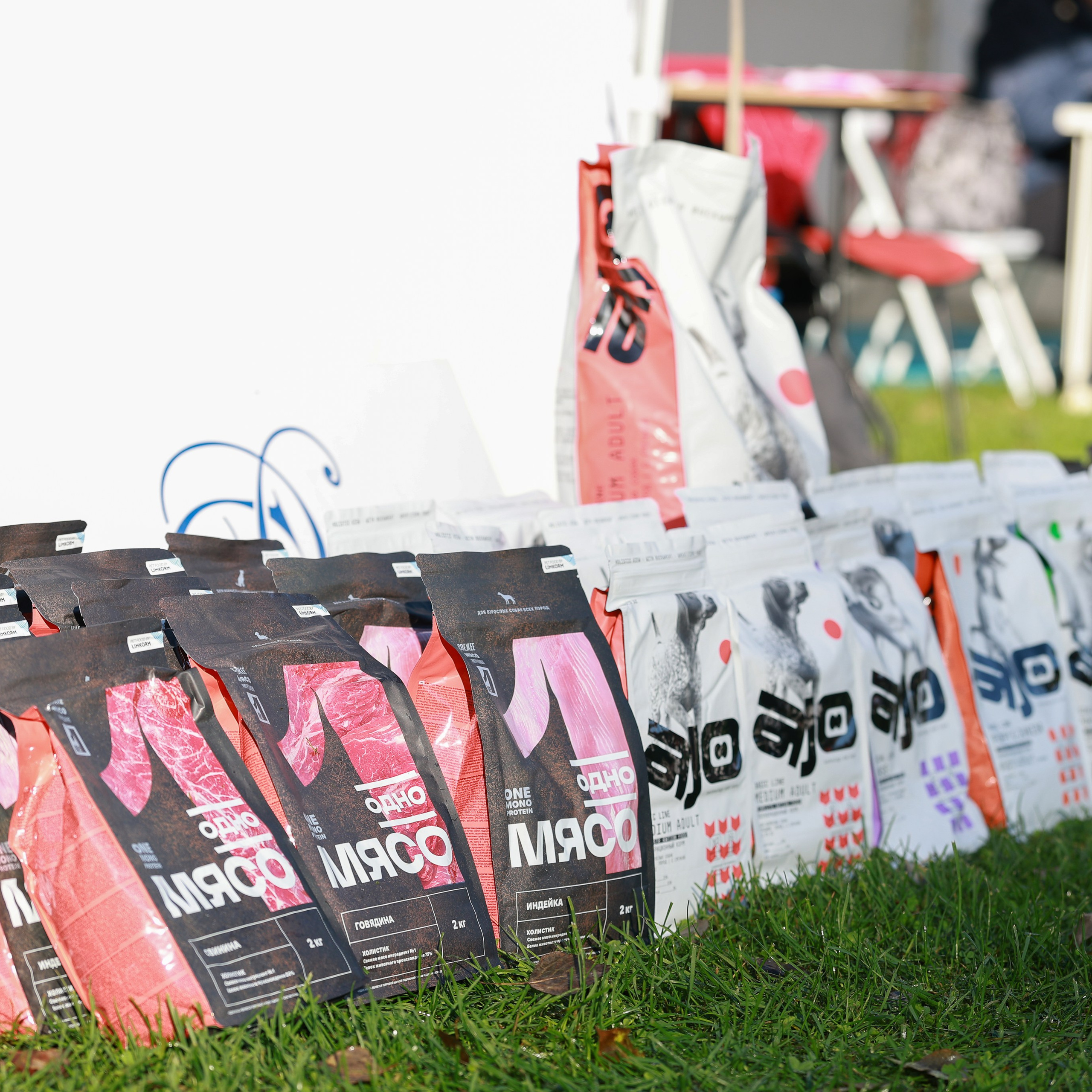 27-28.09.2025 ВЫСТАВКИ СОБАК ВСЕХ ПОРОД (САС, ЧРКФ, ЧФ). ФОТОГРАФ-АНИМАЛИСТ l LANA POLYAKOVA