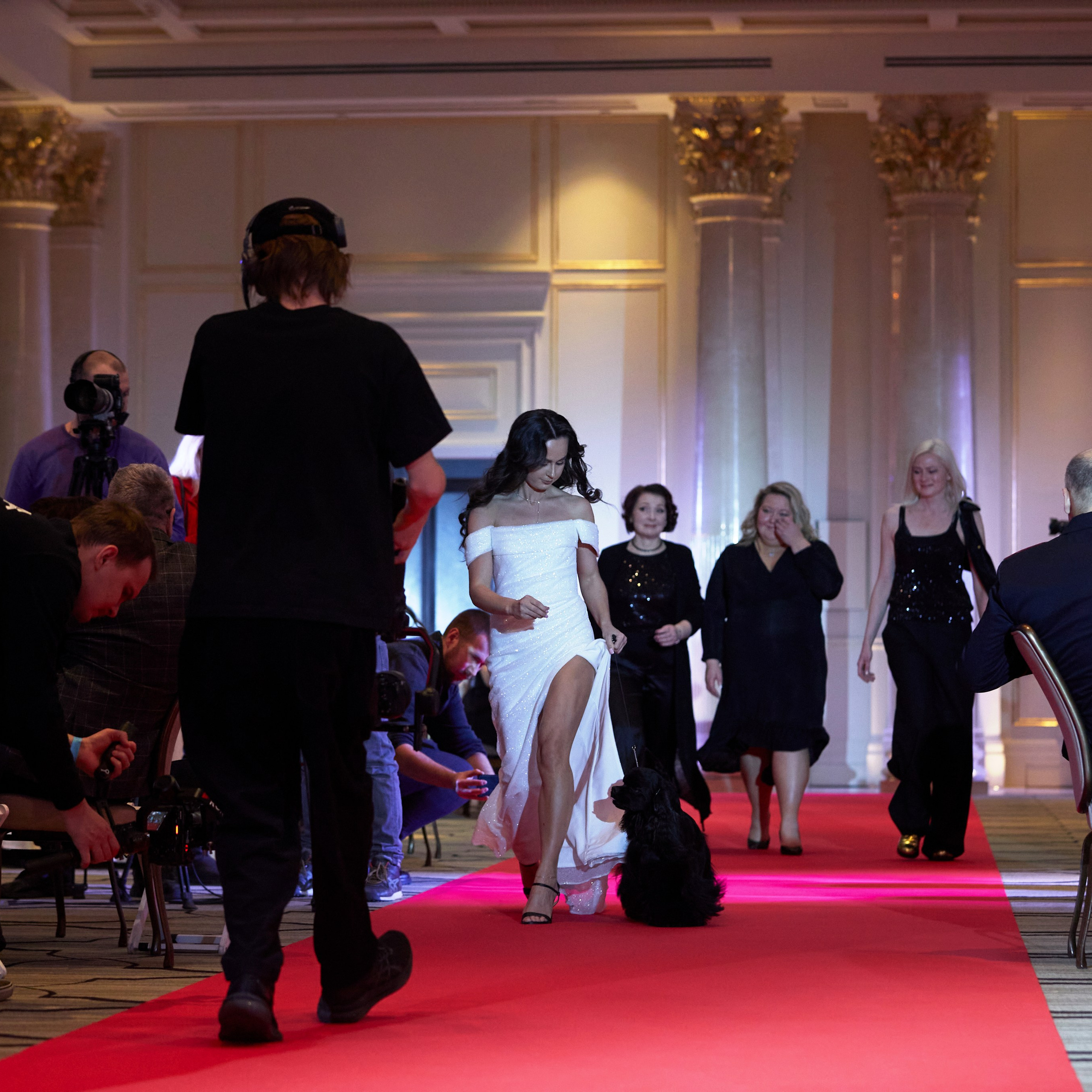 Репортаж с церемонии «BEST RUSSIAN DOG 2024». ФОТОГРАФ-АНИМАЛИСТ l LANA POLYAKOVA