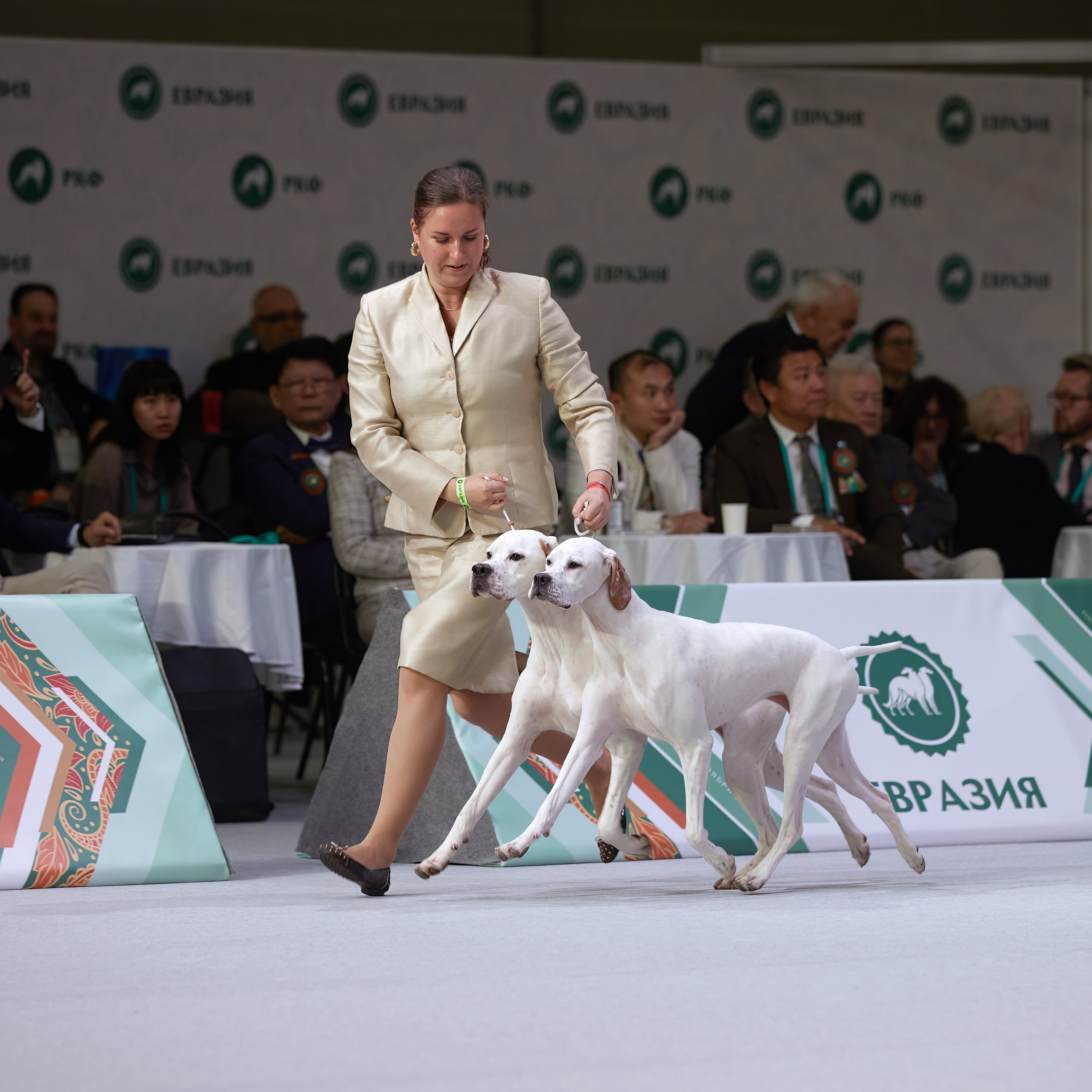 «ЕВРАЗИЯ-2024». ФОТОГРАФ-АНИМАЛИСТ l LANA POLYAKOVA