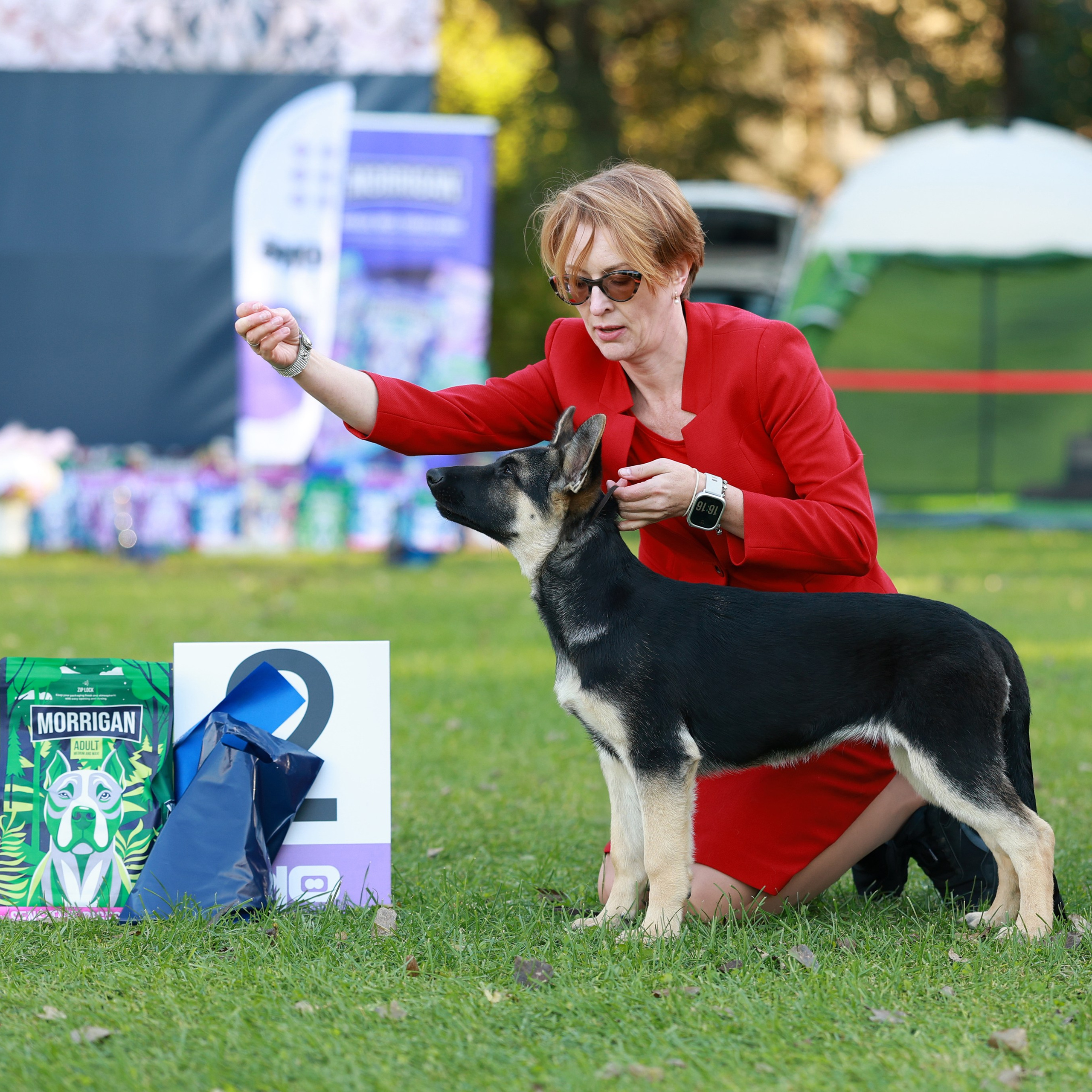 27-28.09.2025 ВЫСТАВКИ СОБАК ВСЕХ ПОРОД (САС, ЧРКФ, ЧФ). ФОТОГРАФ-АНИМАЛИСТ l LANA POLYAKOVA