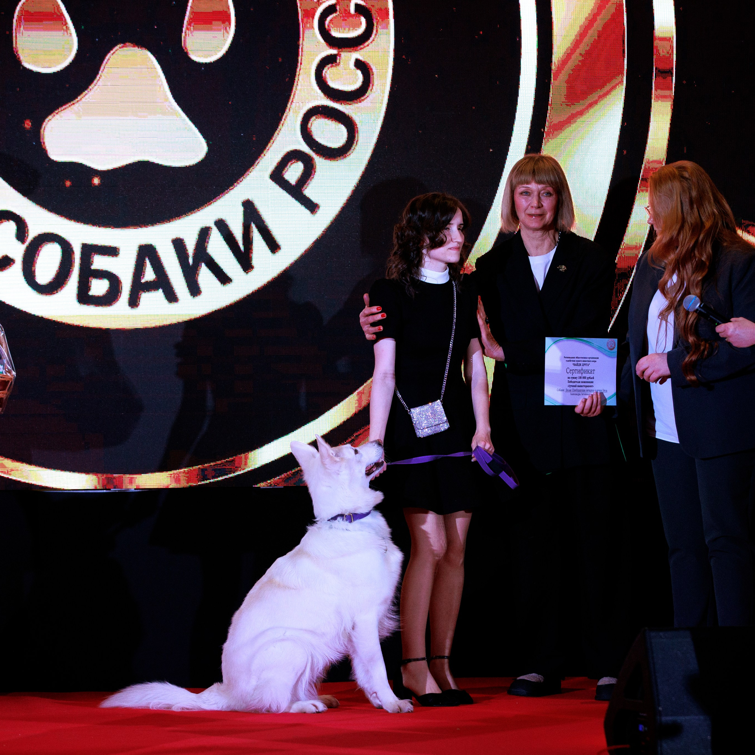Репортаж с церемонии «BEST RUSSIAN DOG 2024». ФОТОГРАФ-АНИМАЛИСТ l LANA POLYAKOVA