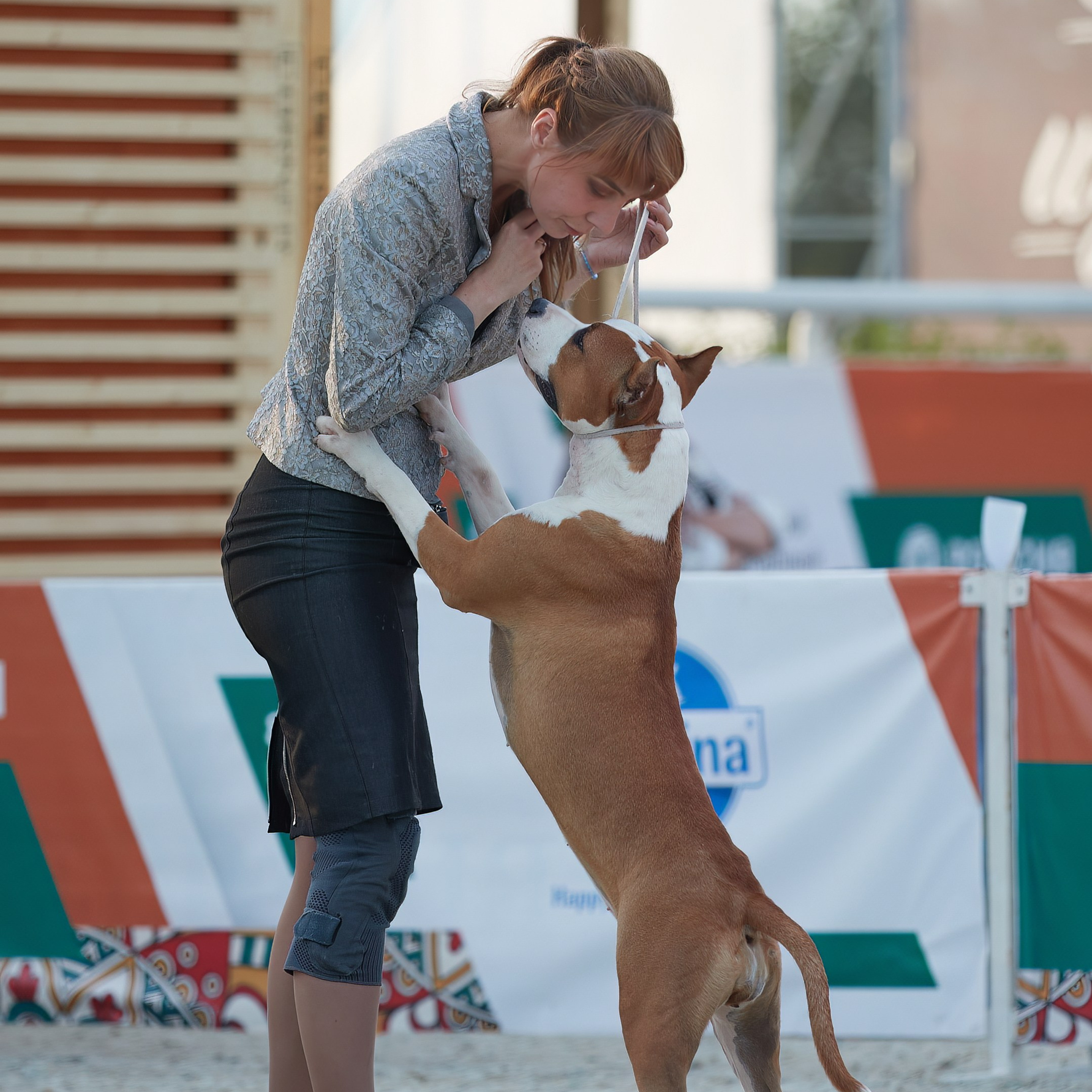 «Россия. Кубок РКФ 2024» и «Россия. Кубок Москвы 2024». ФОТОГРАФ-АНИМАЛИСТ l LANA POLYAKOVA