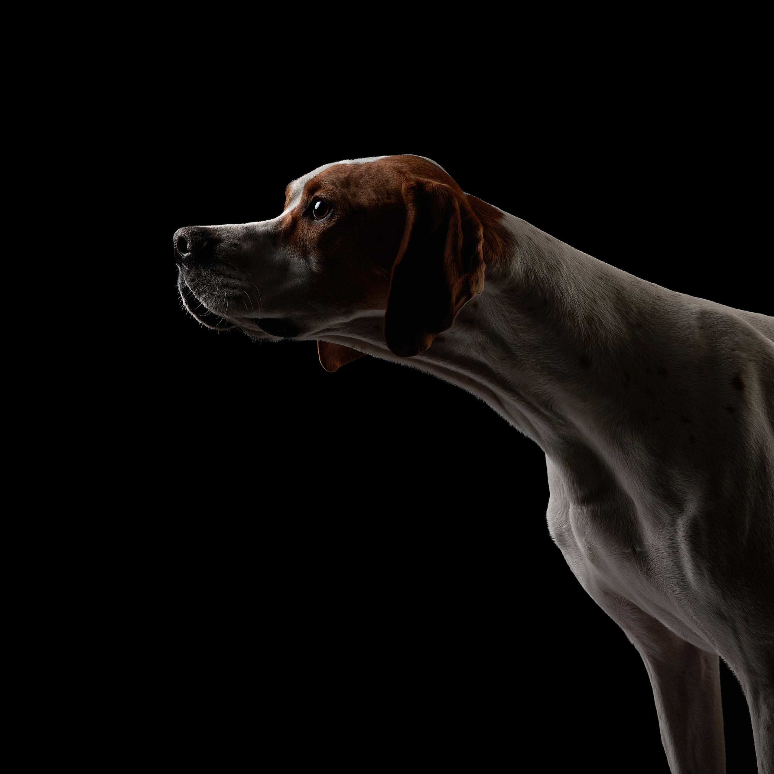 Зимний Workshop и фотосъемки на Байкале. ФОТОГРАФ-АНИМАЛИСТ l LANA POLYAKOVA