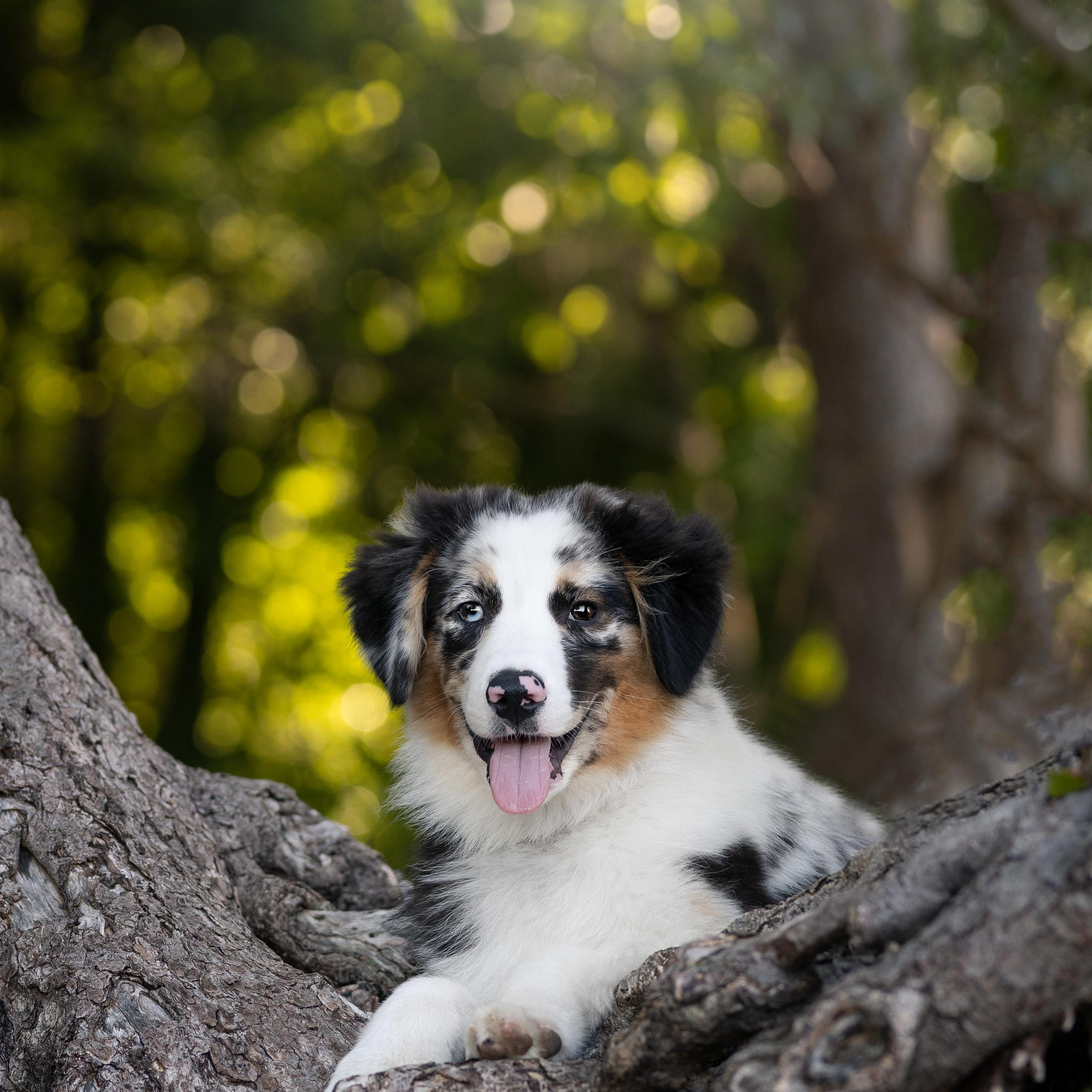 WORK-SHOP 16.07.23 завершён. ФОТОГРАФ-АНИМАЛИСТ l LANA POLYAKOVA
