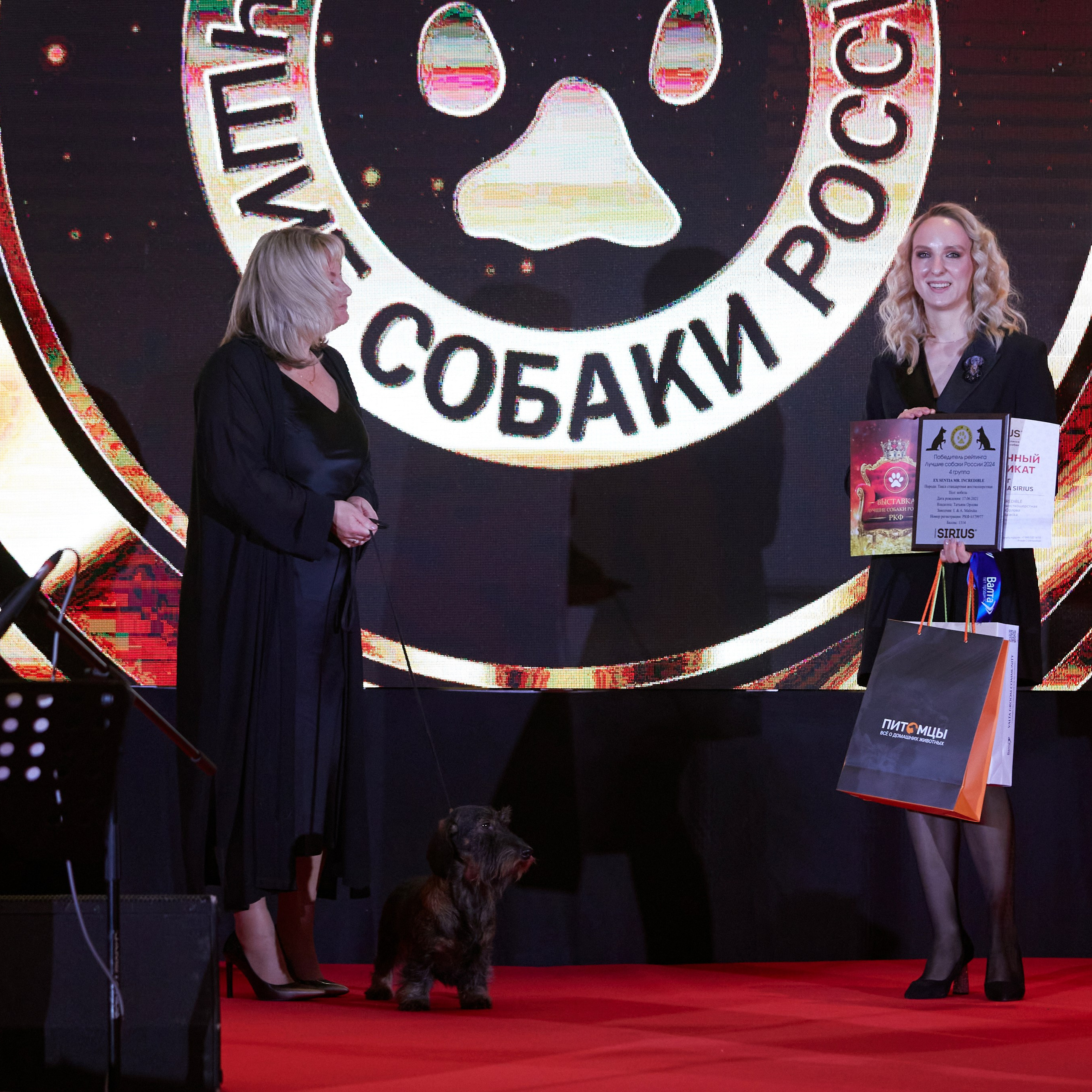 Репортаж с церемонии «BEST RUSSIAN DOG 2024». ФОТОГРАФ-АНИМАЛИСТ l LANA POLYAKOVA