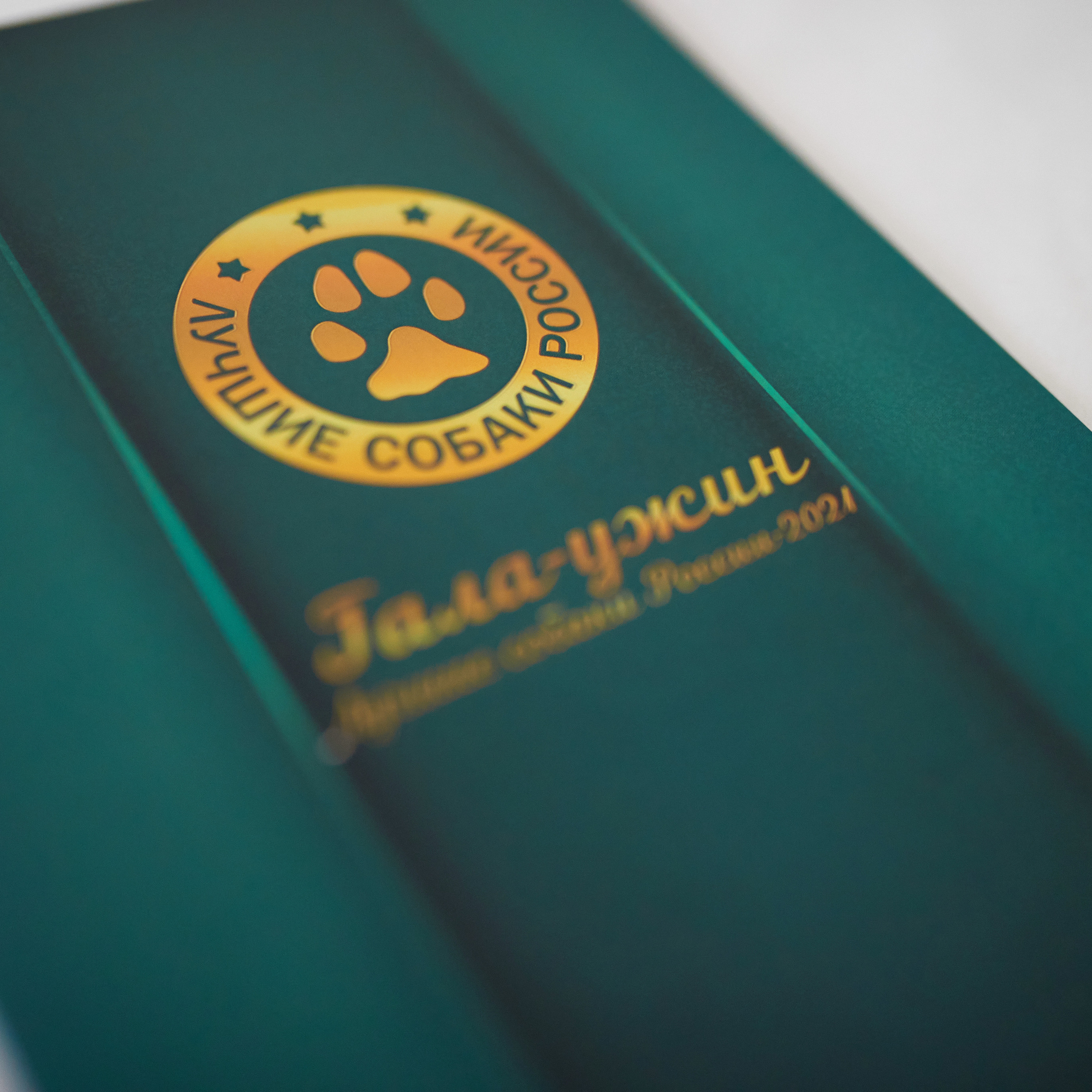 Репортаж с церемонии «BEST RUSSIAN DOG 2021». ФОТОГРАФ-АНИМАЛИСТ l LANA POLYAKOVA