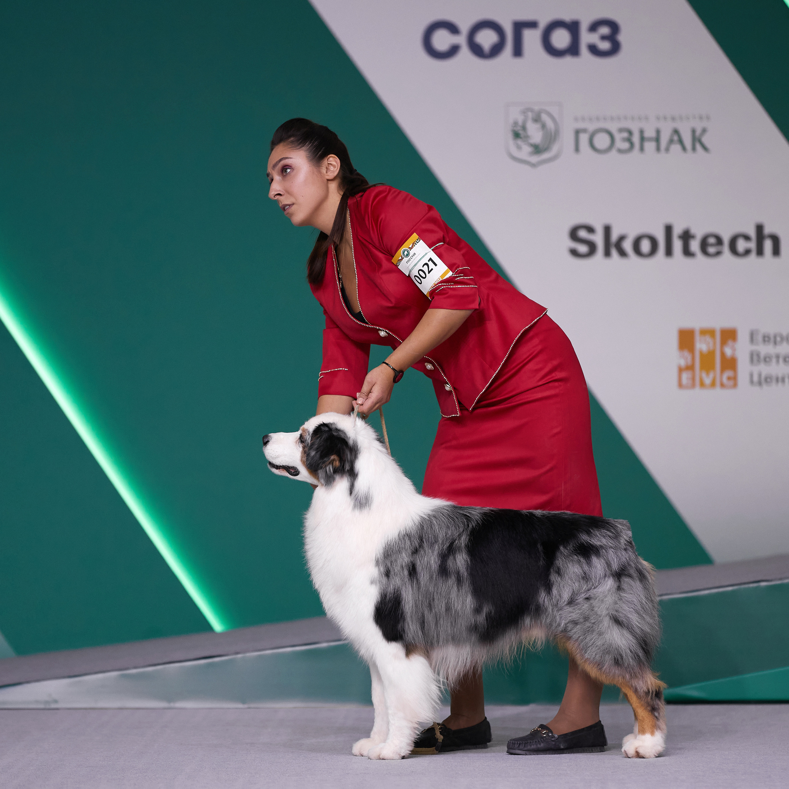 «Россия» в Крокусе. ФОТОГРАФ-АНИМАЛИСТ l LANA POLYAKOVA