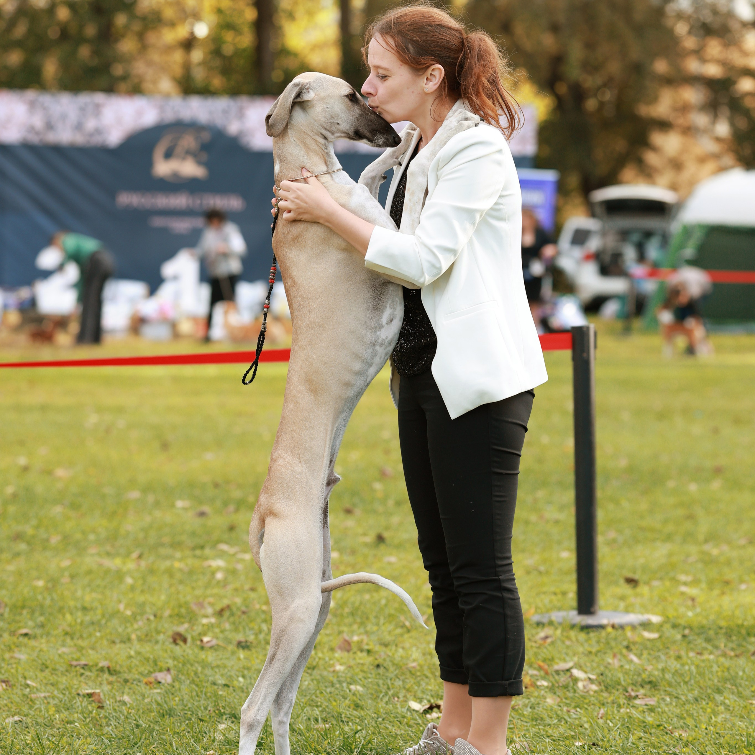 27-28.09.2025 ВЫСТАВКИ СОБАК ВСЕХ ПОРОД (САС, ЧРКФ, ЧФ). ФОТОГРАФ-АНИМАЛИСТ l LANA POLYAKOVA