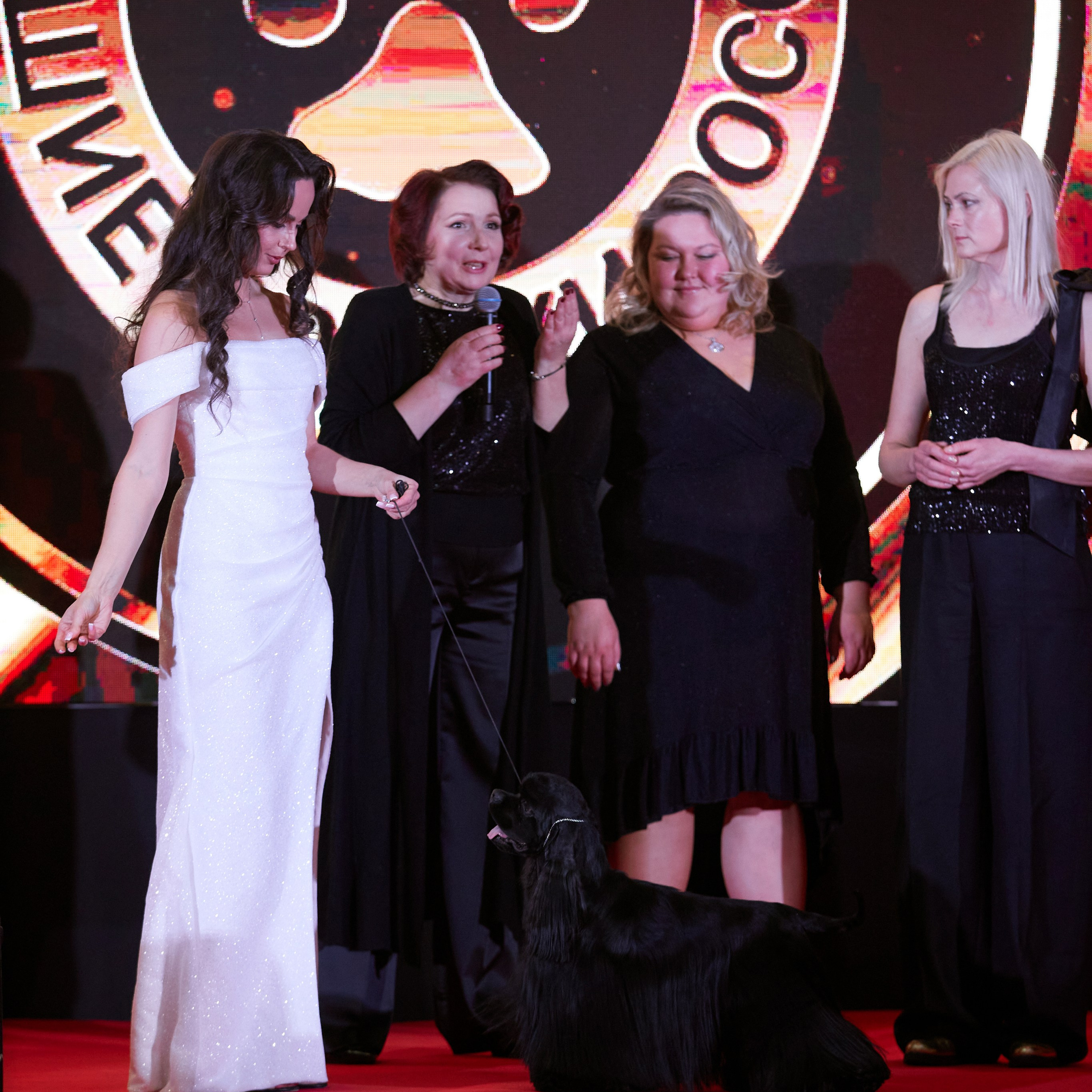 Репортаж с церемонии «BEST RUSSIAN DOG 2024». ФОТОГРАФ-АНИМАЛИСТ l LANA POLYAKOVA