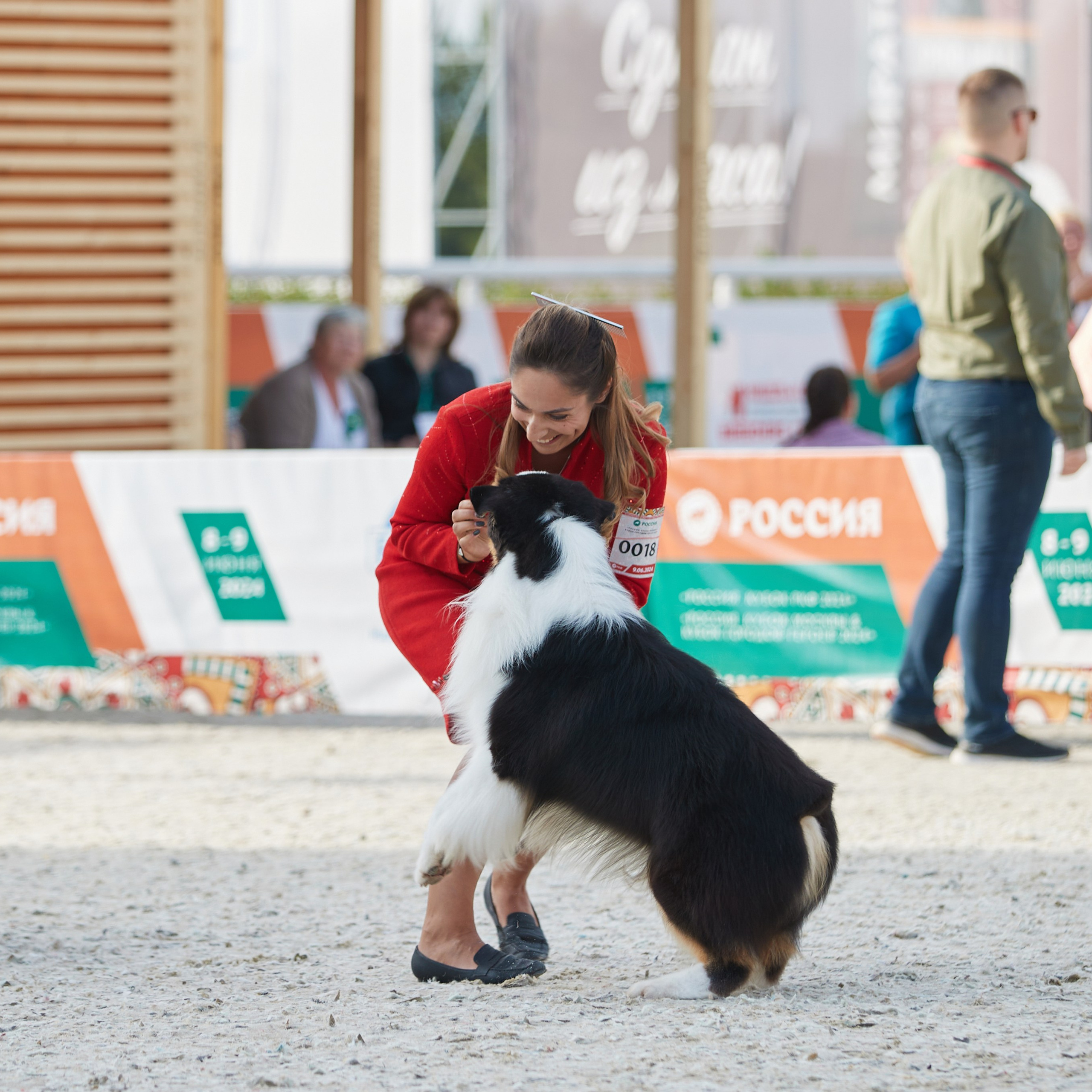«Россия. Кубок РКФ 2024» и «Россия. Кубок Москвы 2024». ФОТОГРАФ-АНИМАЛИСТ l LANA POLYAKOVA
