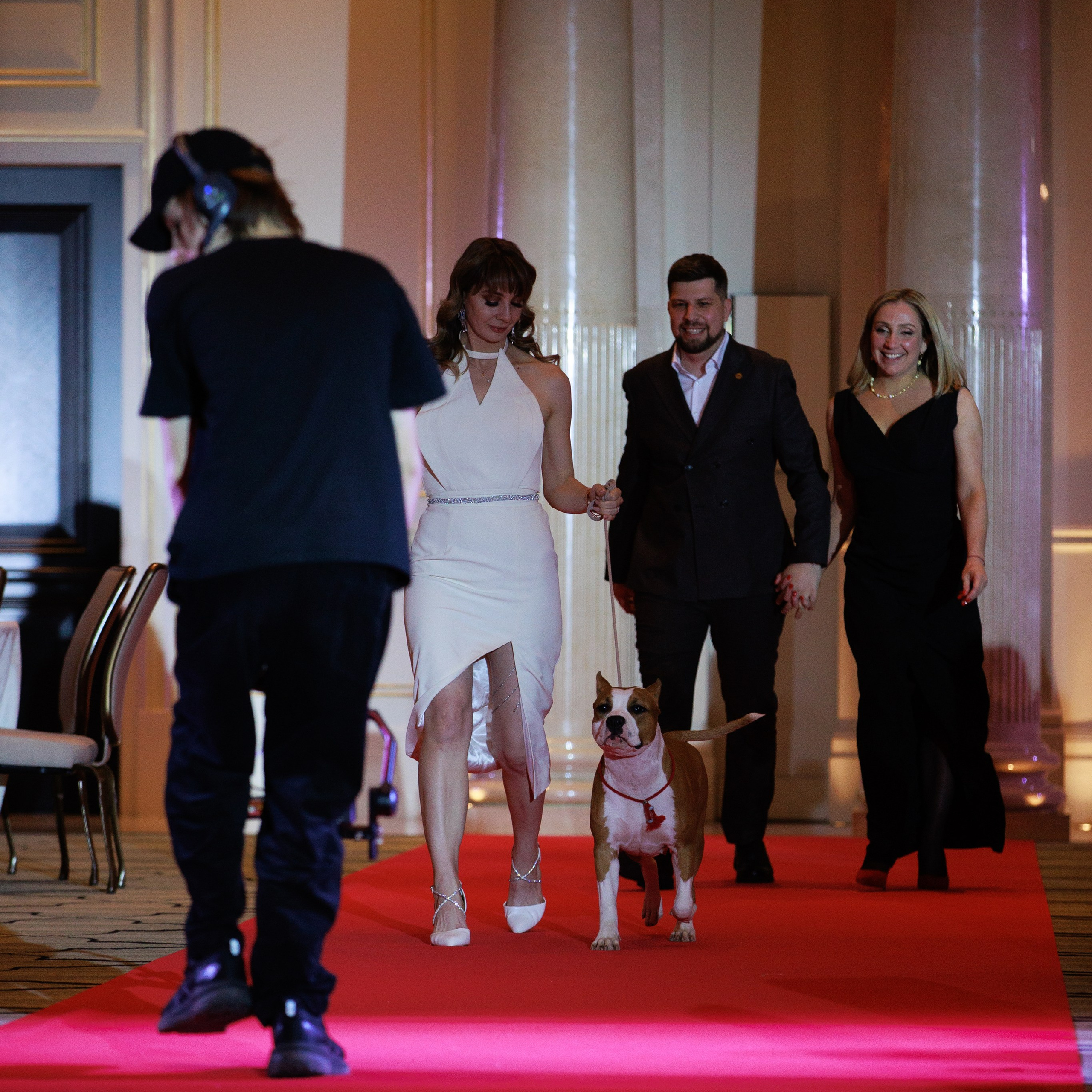 Репортаж с церемонии «BEST RUSSIAN DOG 2024». ФОТОГРАФ-АНИМАЛИСТ l LANA POLYAKOVA