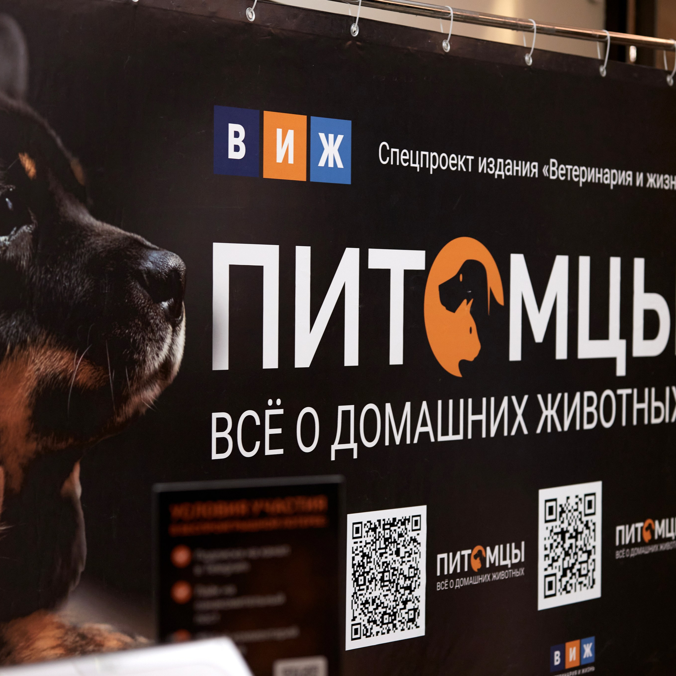 Репортаж с церемонии «BEST RUSSIAN DOG 2024». ФОТОГРАФ-АНИМАЛИСТ l LANA POLYAKOVA