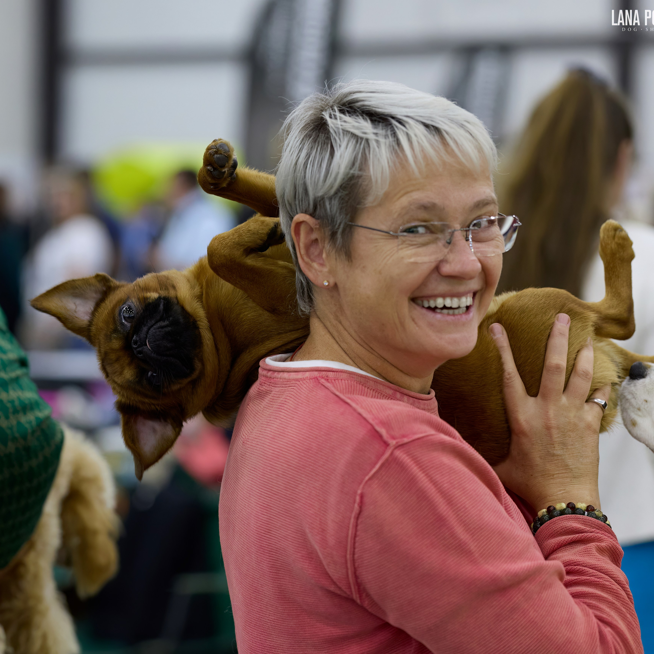 ВЫСТАВКА СОБАК ВСЕХ ПОРОД С ОСОБЫМ СТАТУСОМ «БЕЛЫЕ НОЧИ-2025». ФОТОГРАФ-АНИМАЛИСТ l LANA POLYAKOVA