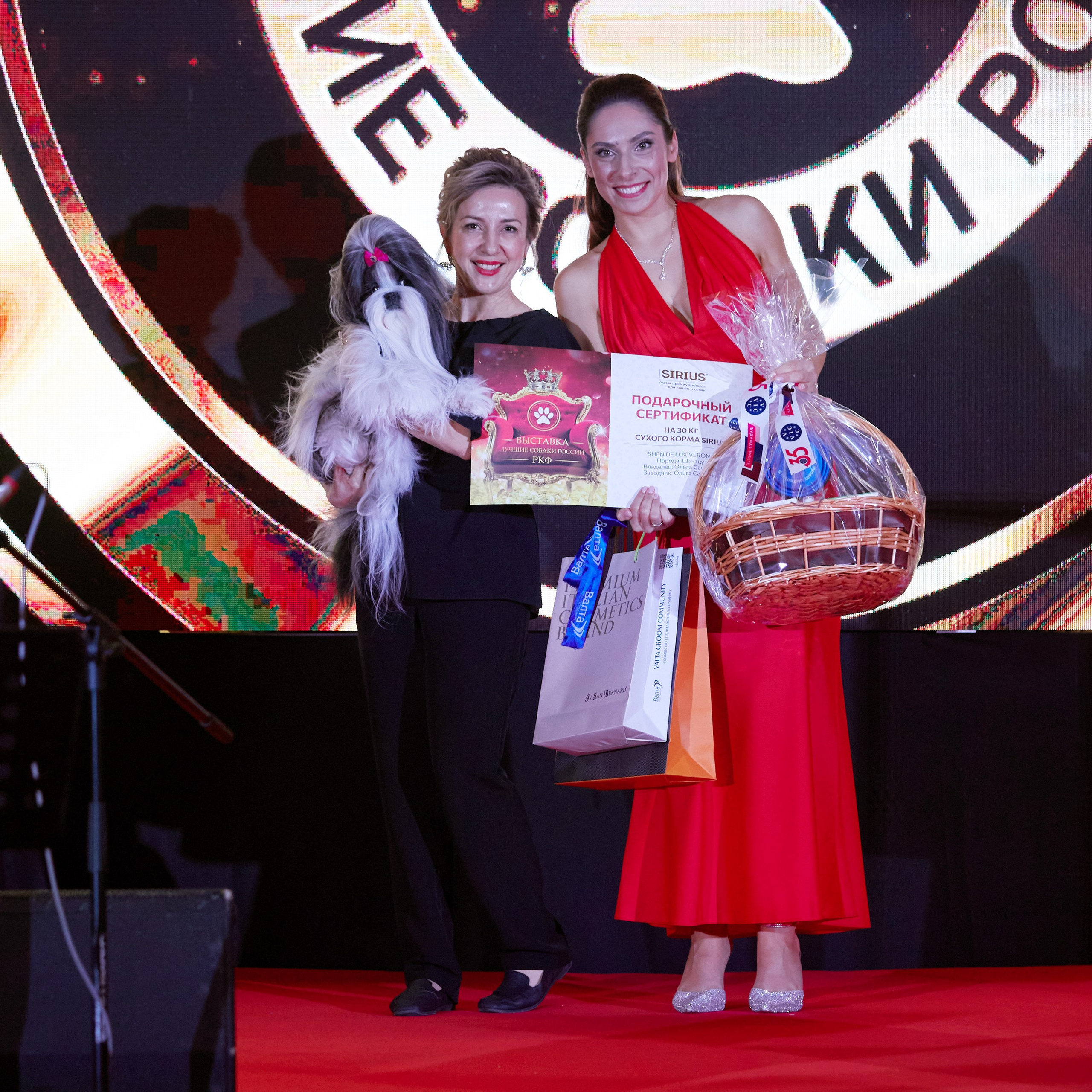 Репортаж с церемонии «BEST RUSSIAN DOG 2024». ФОТОГРАФ-АНИМАЛИСТ l LANA POLYAKOVA