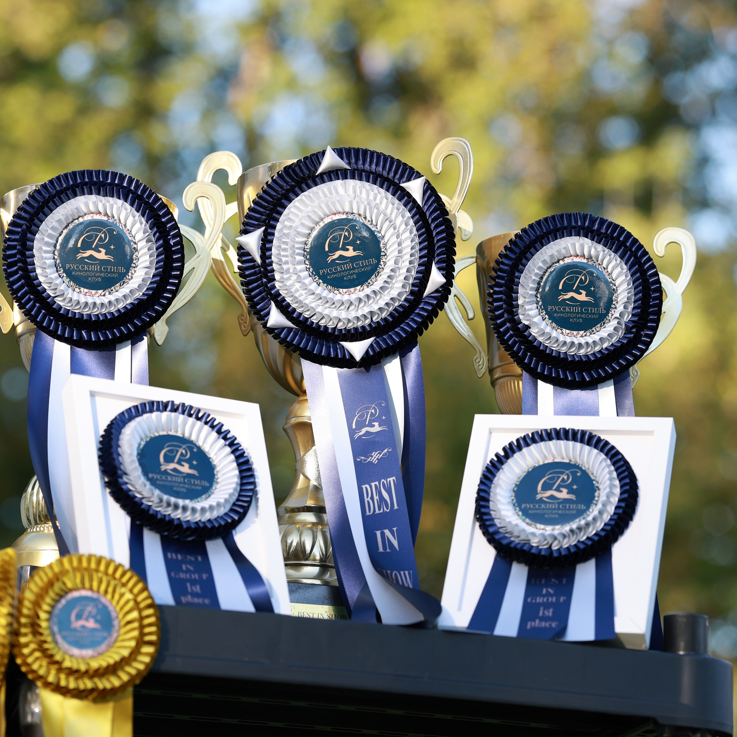 27-28.09.2025 ВЫСТАВКИ СОБАК ВСЕХ ПОРОД (САС, ЧРКФ, ЧФ). ФОТОГРАФ-АНИМАЛИСТ l LANA POLYAKOVA