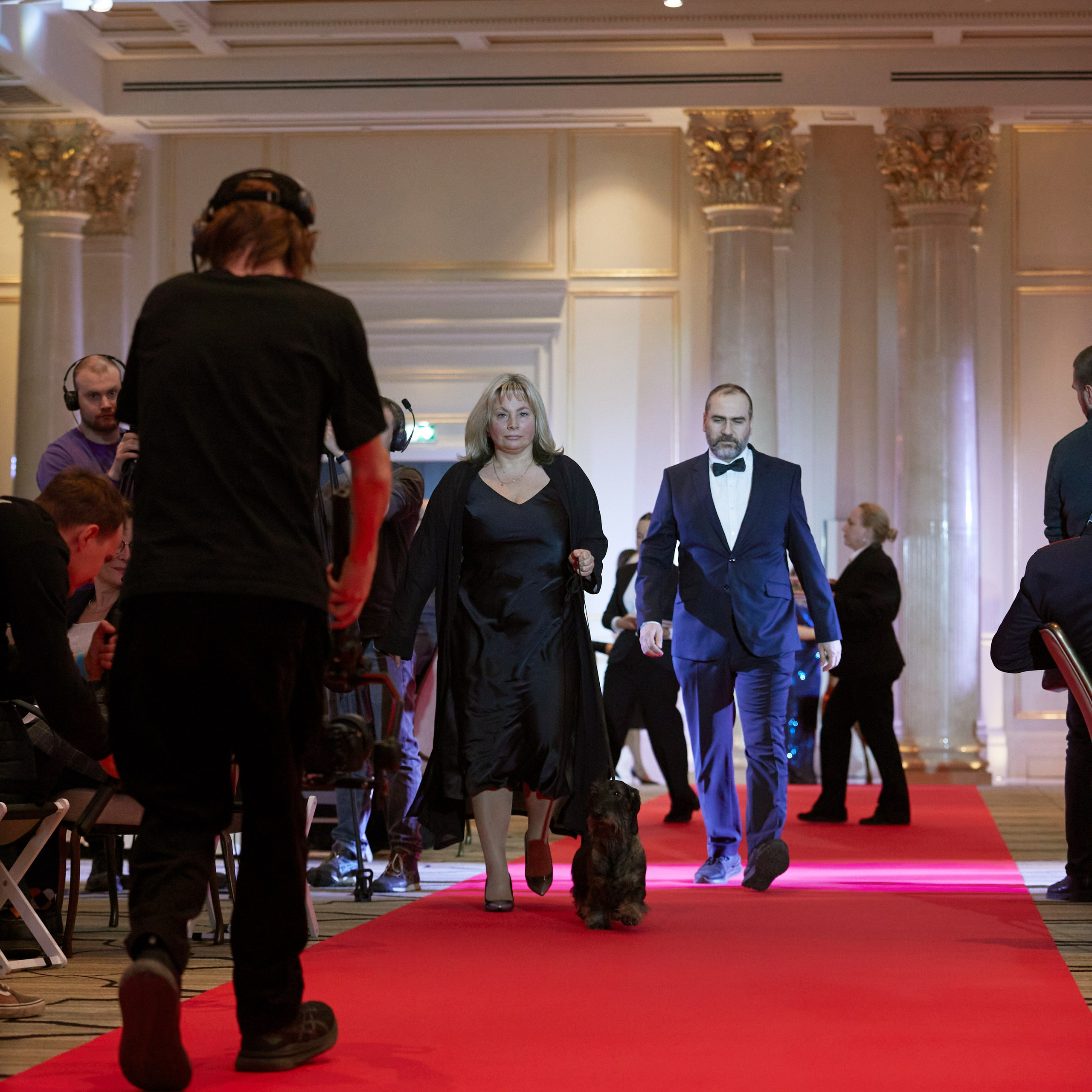 Репортаж с церемонии «BEST RUSSIAN DOG 2024». ФОТОГРАФ-АНИМАЛИСТ l LANA POLYAKOVA