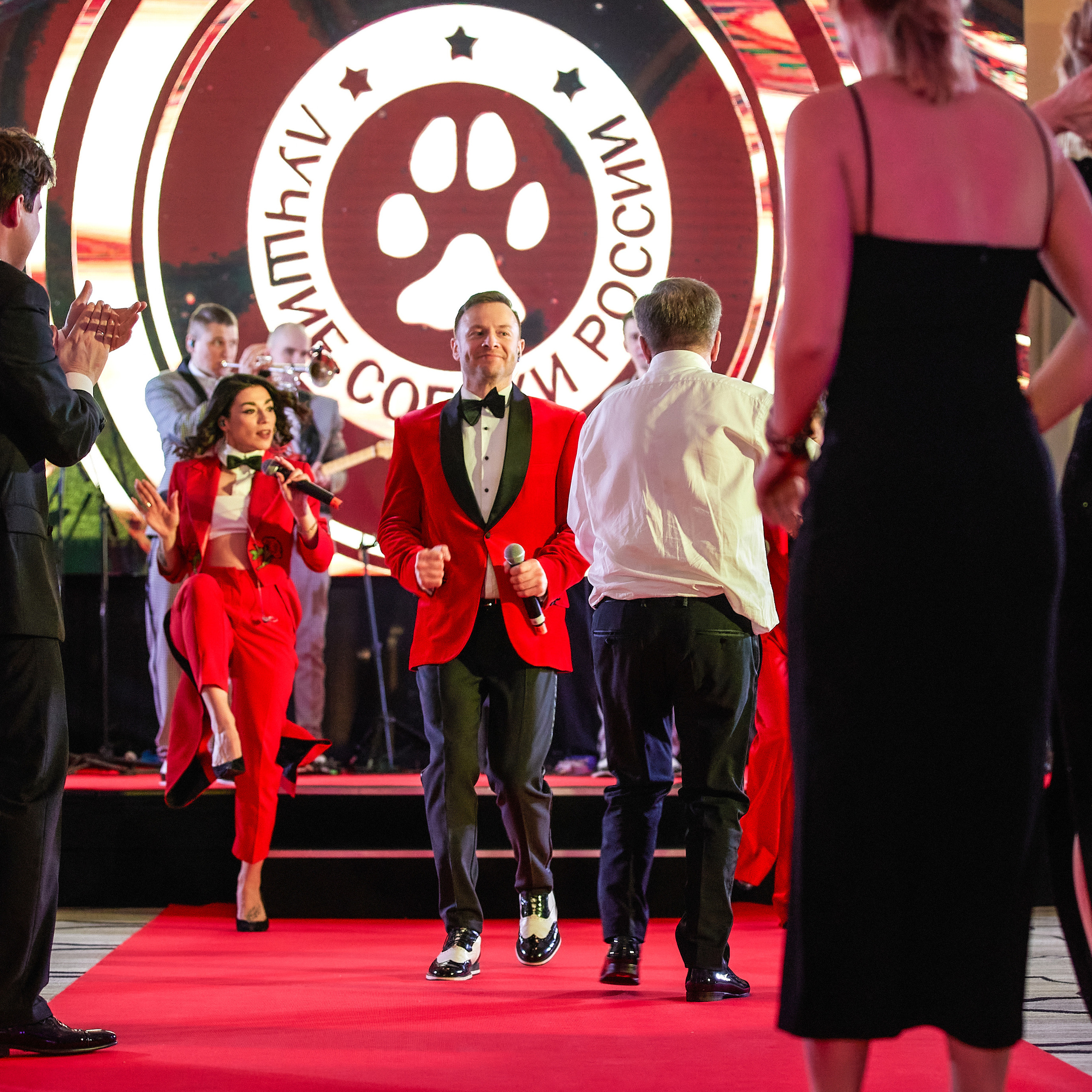 Репортаж с церемонии «BEST RUSSIAN DOG 2021». ФОТОГРАФ-АНИМАЛИСТ l LANA POLYAKOVA