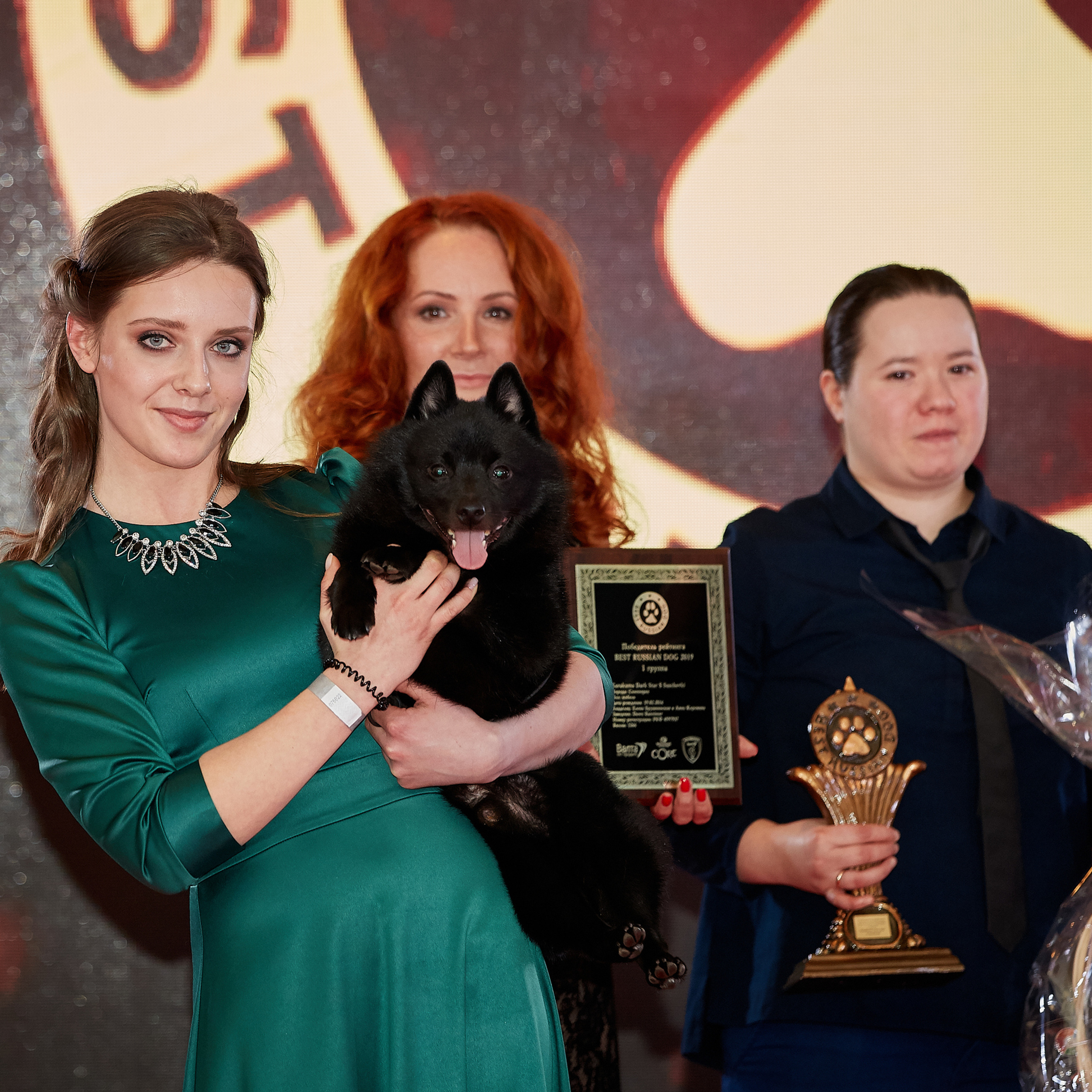 НАГРАЖДЕНИЕ ПОБЕДИТЕЛЕЙ РЕЙТИНГА «BEST RUSSIAN DOG». ФОТОГРАФ-АНИМАЛИСТ l LANA POLYAKOVA