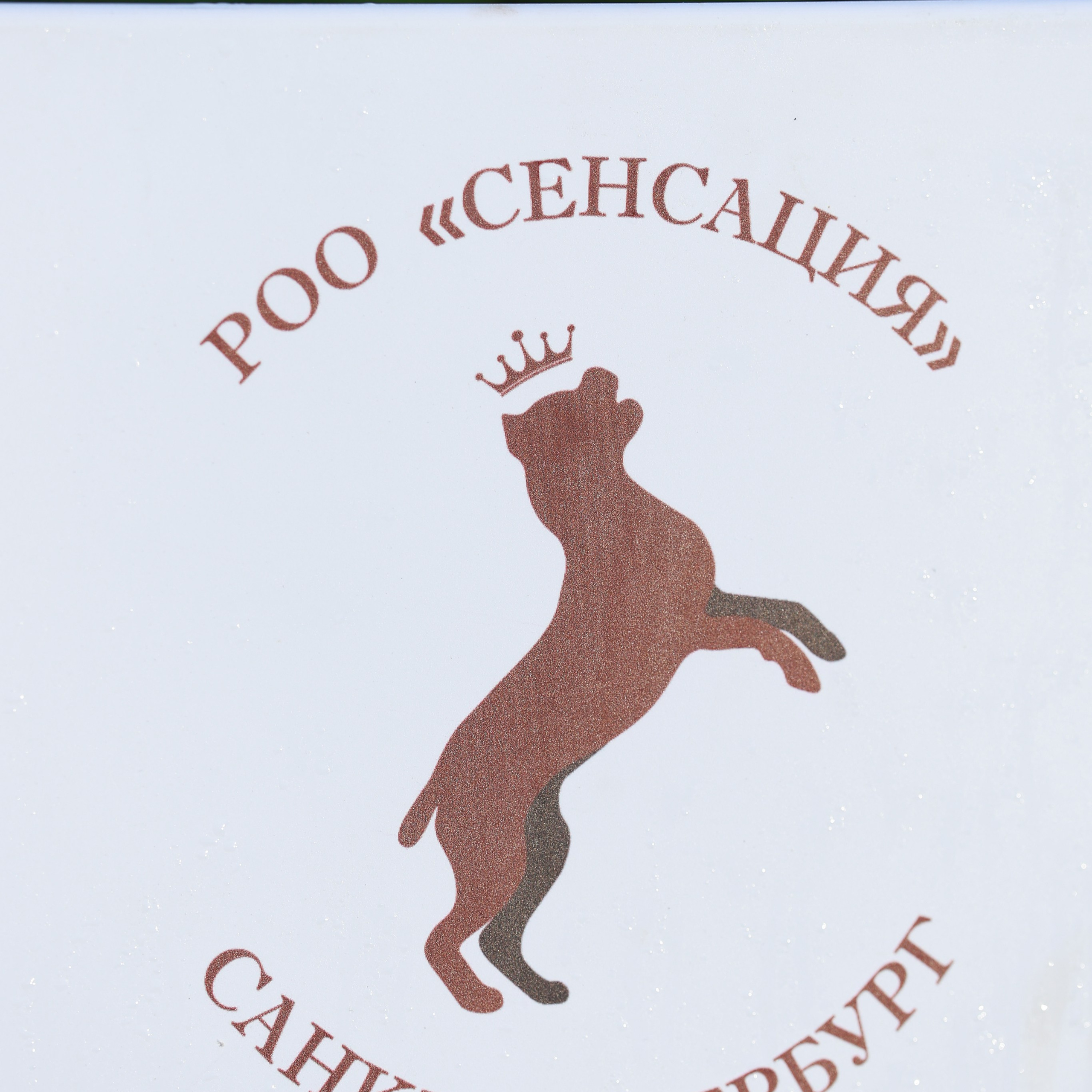 27-28.09.2025 ВЫСТАВКИ СОБАК ВСЕХ ПОРОД (САС, ЧРКФ, ЧФ). ФОТОГРАФ-АНИМАЛИСТ l LANA POLYAKOVA