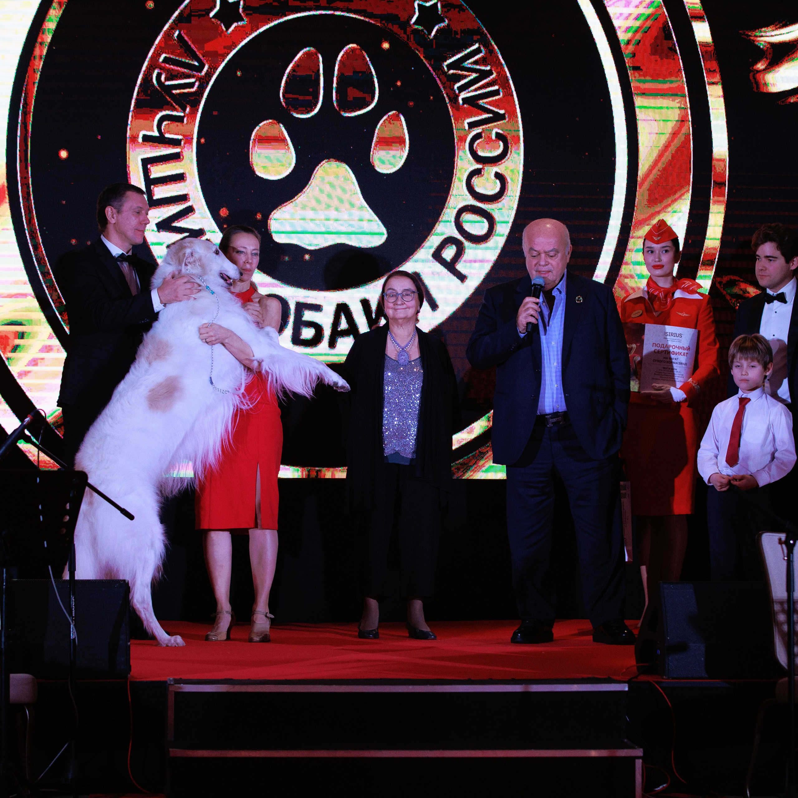 Репортаж с церемонии «BEST RUSSIAN DOG 2024». ФОТОГРАФ-АНИМАЛИСТ l LANA POLYAKOVA