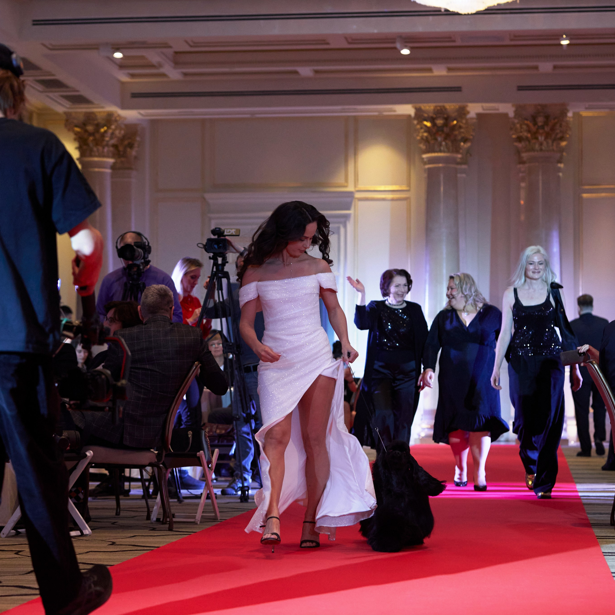 Репортаж с церемонии «BEST RUSSIAN DOG 2024». ФОТОГРАФ-АНИМАЛИСТ l LANA POLYAKOVA