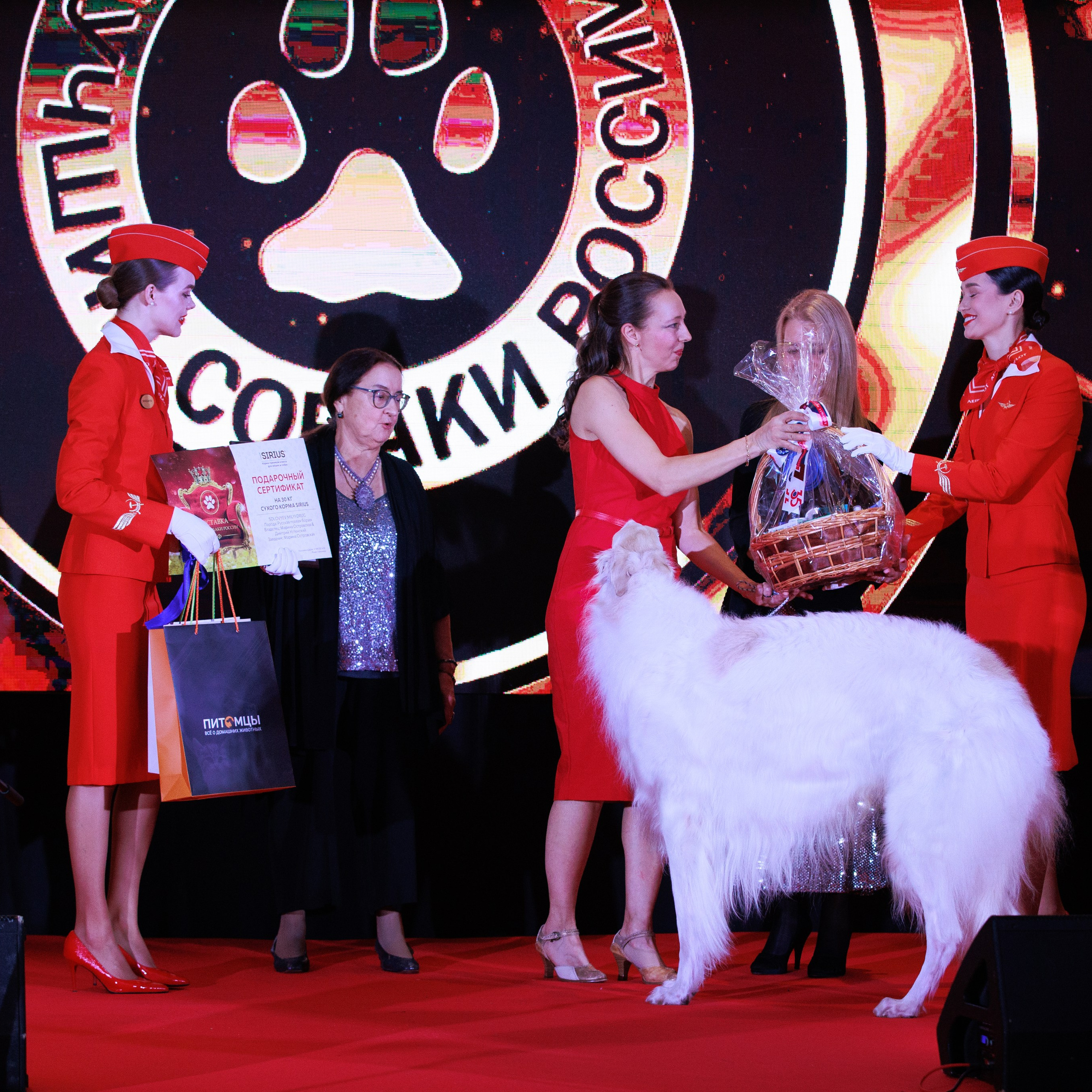 Репортаж с церемонии «BEST RUSSIAN DOG 2024». ФОТОГРАФ-АНИМАЛИСТ l LANA POLYAKOVA