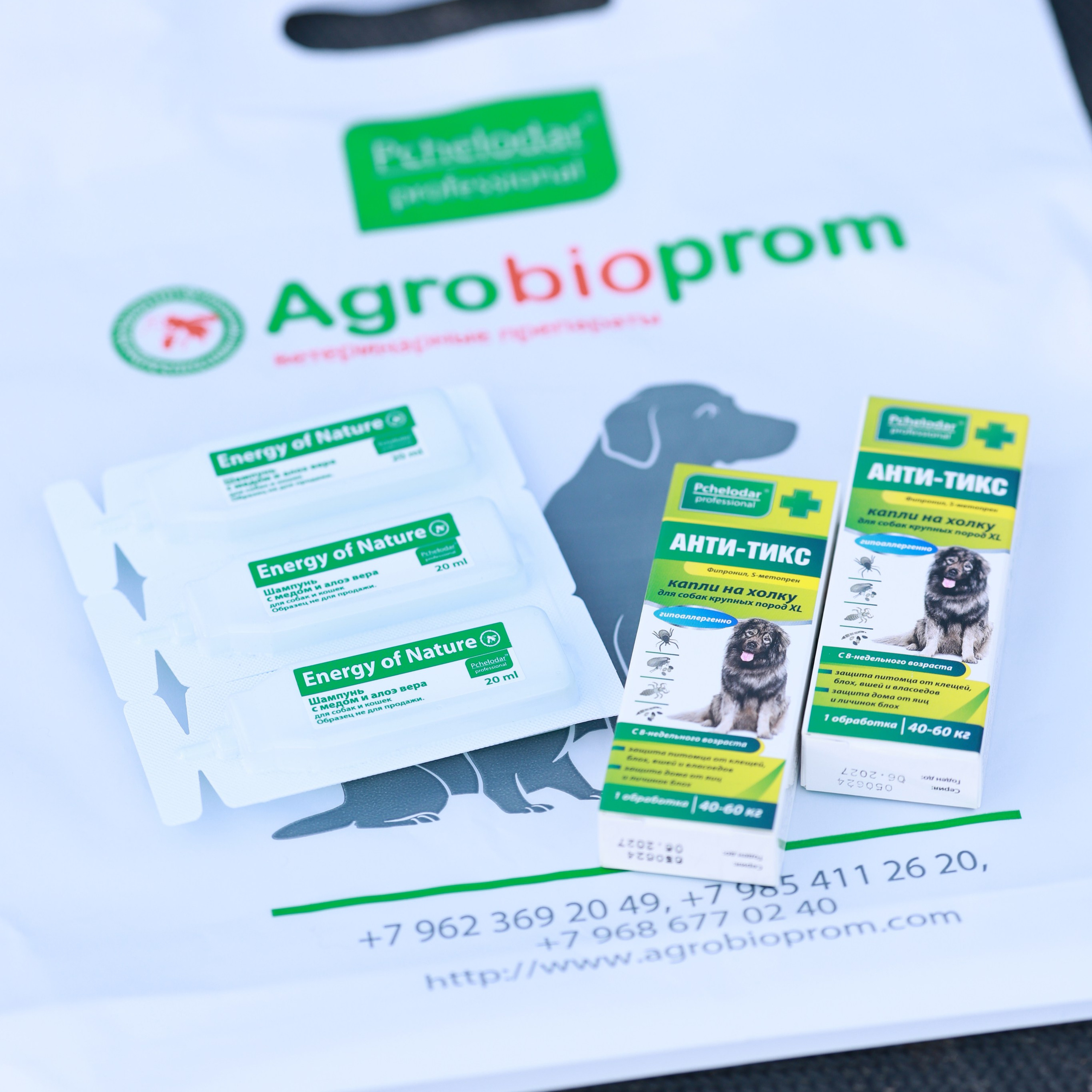 27-28.09.2025 ВЫСТАВКИ СОБАК ВСЕХ ПОРОД (САС, ЧРКФ, ЧФ). ФОТОГРАФ-АНИМАЛИСТ l LANA POLYAKOVA