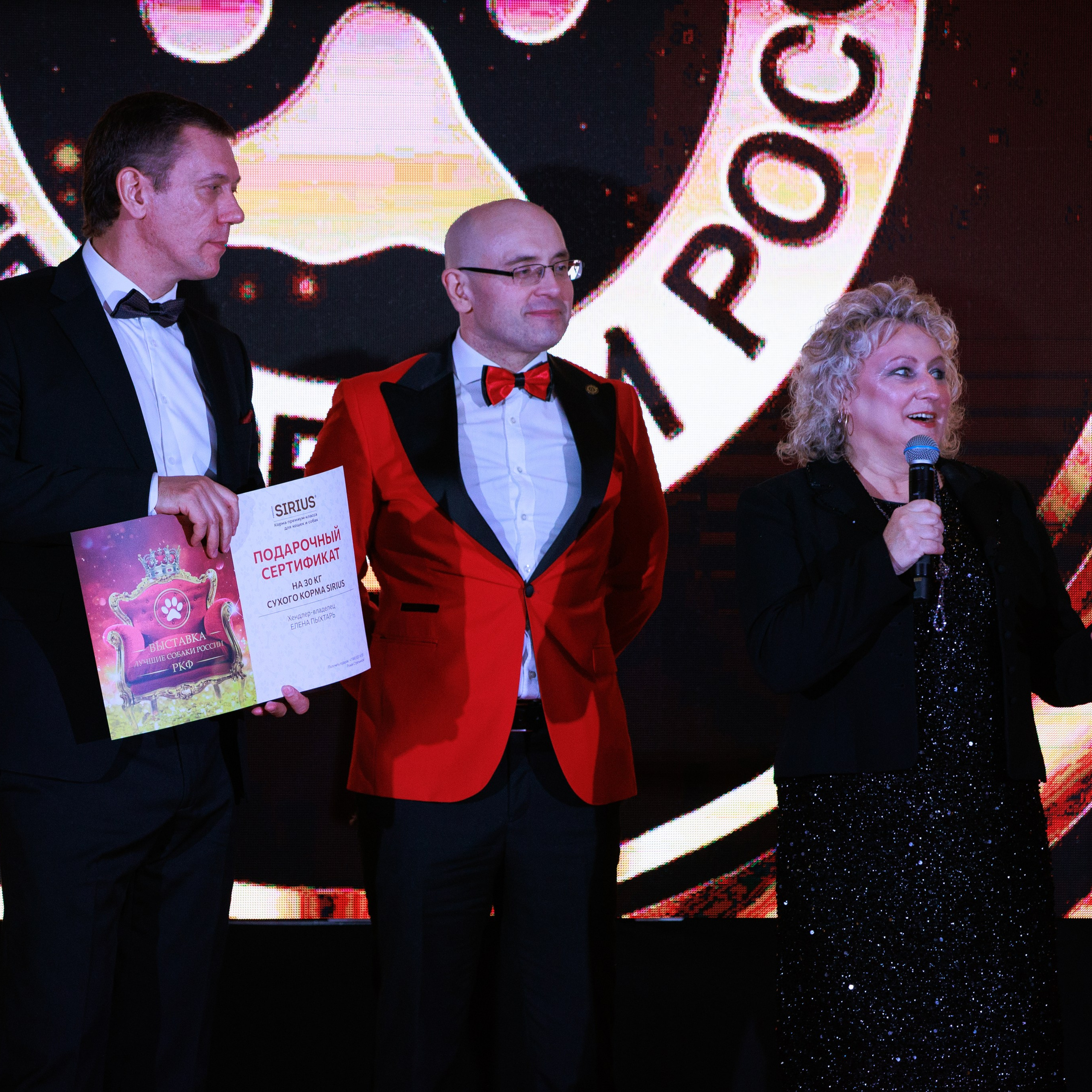 Репортаж с церемонии «BEST RUSSIAN DOG 2024». ФОТОГРАФ-АНИМАЛИСТ l LANA POLYAKOVA