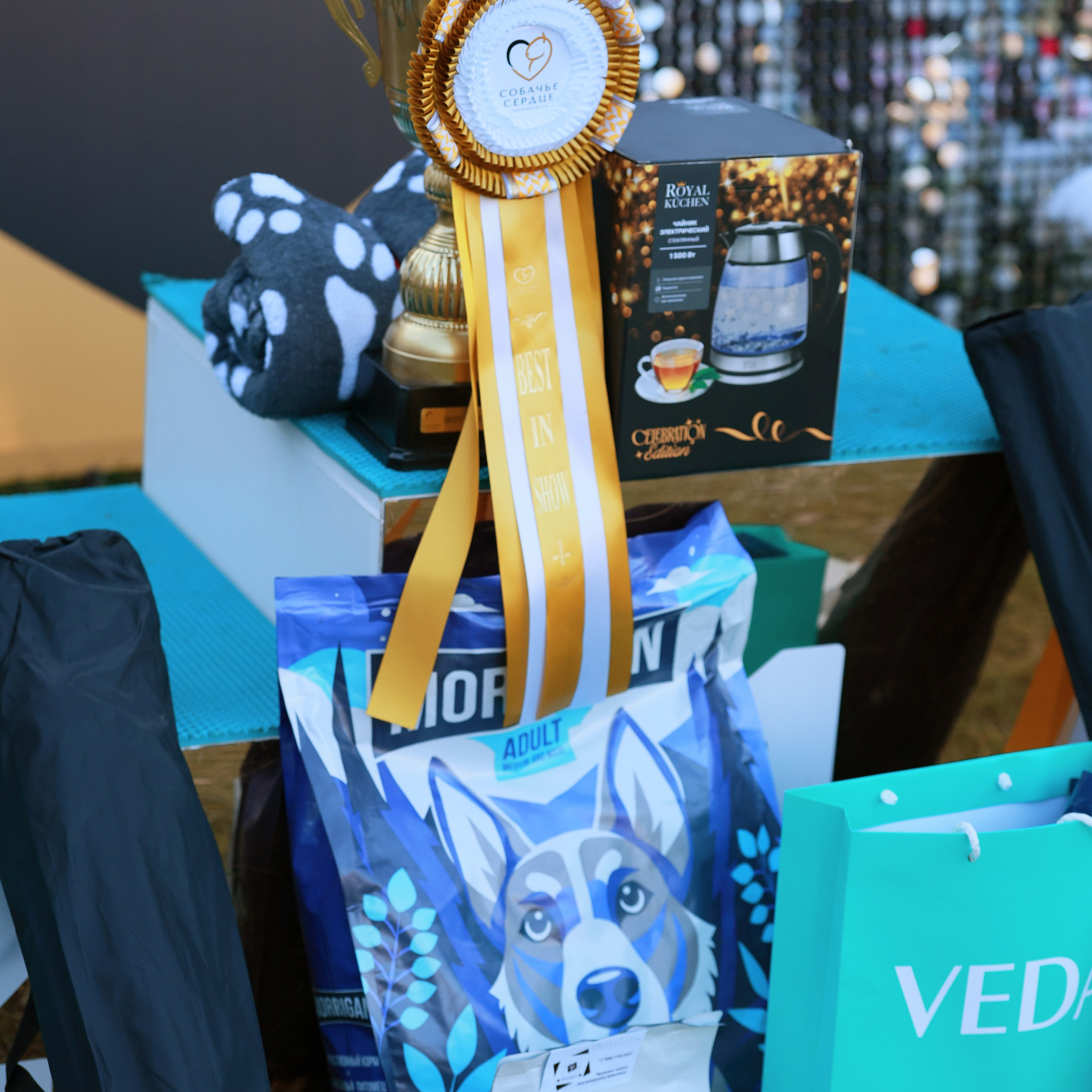 27-28.09.2025 ВЫСТАВКИ СОБАК ВСЕХ ПОРОД (САС, ЧРКФ, ЧФ). ФОТОГРАФ-АНИМАЛИСТ l LANA POLYAKOVA