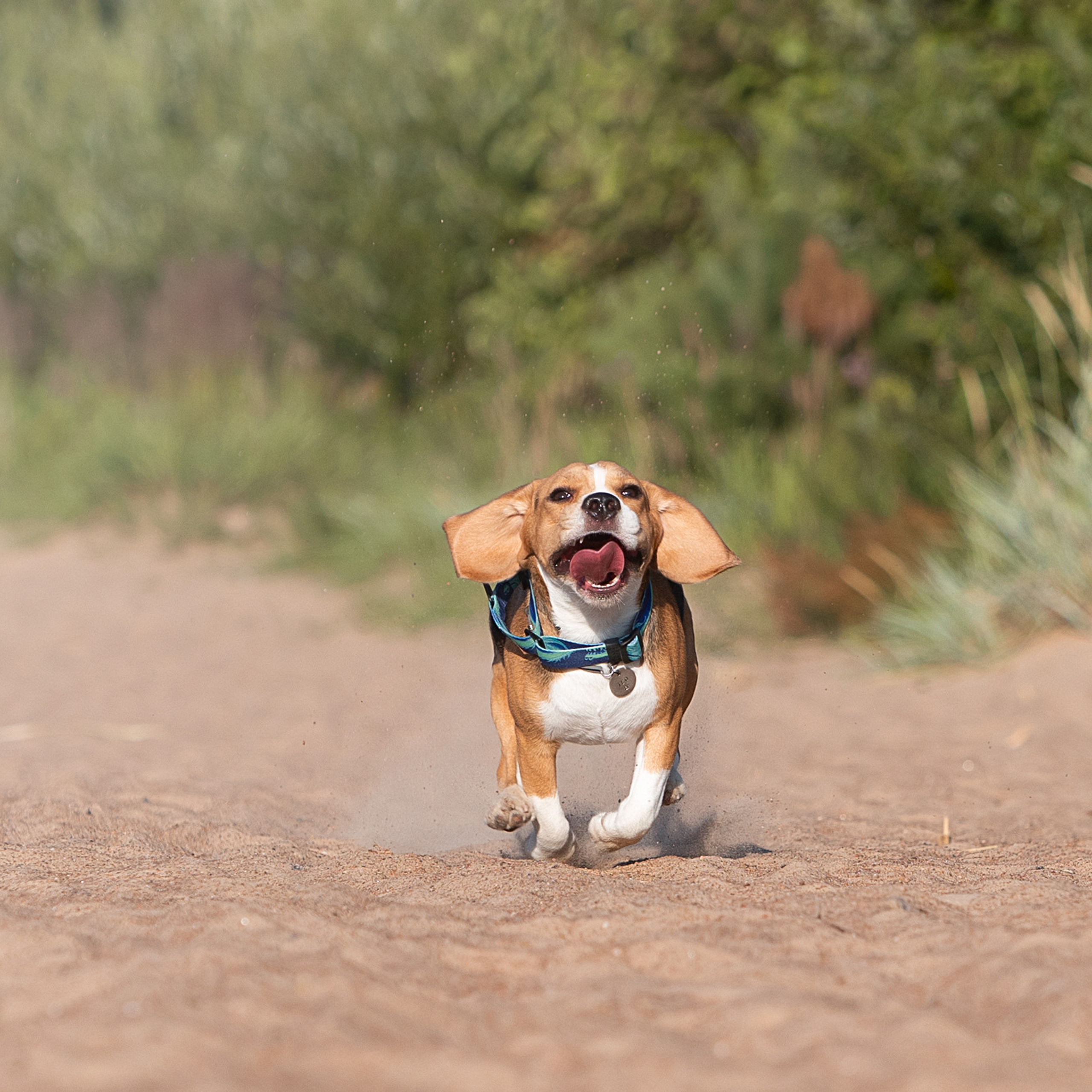 WORK-SHOP 16.07.23 завершён. ФОТОГРАФ-АНИМАЛИСТ l LANA POLYAKOVA
